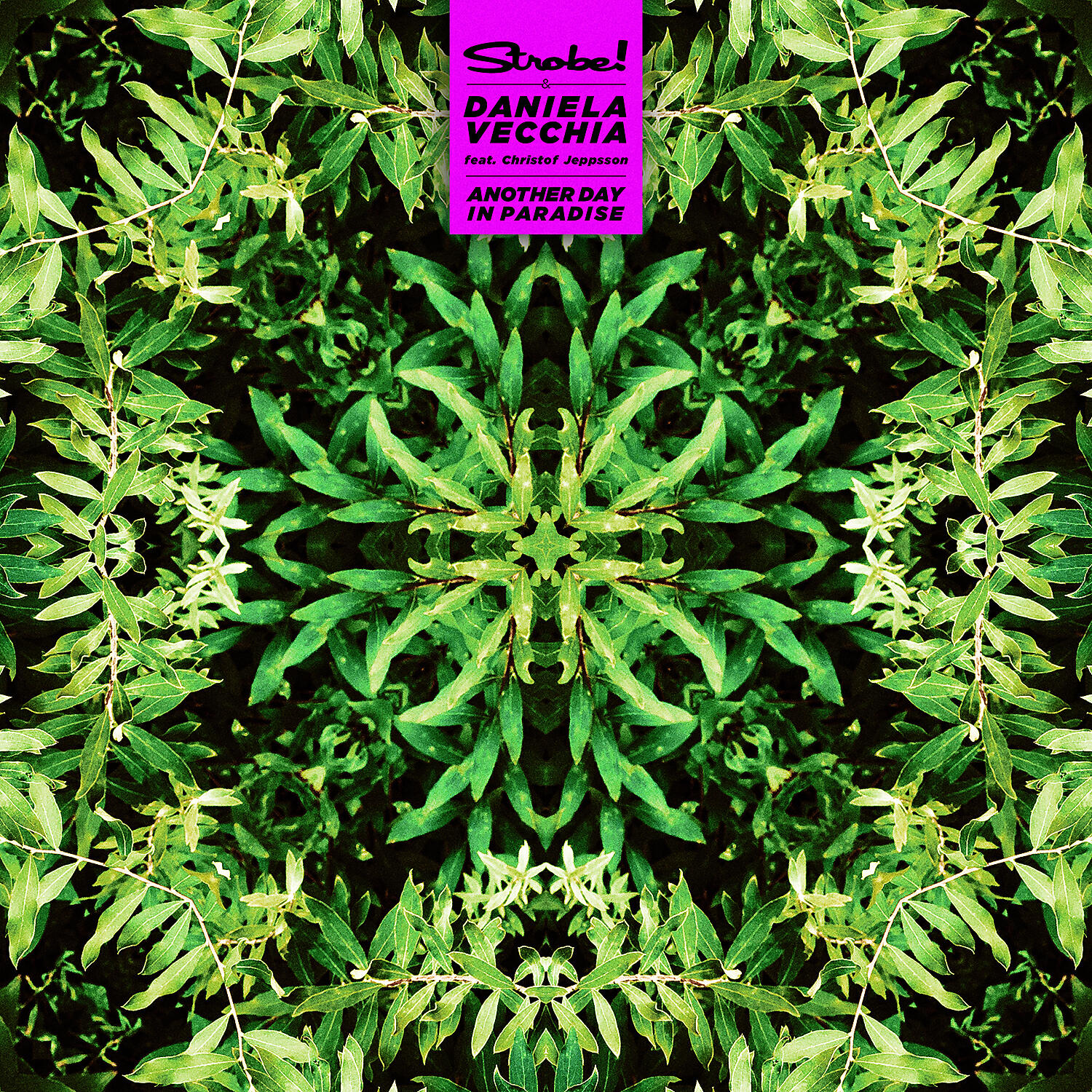 Strobe! - Another Day in Paradise (feat. Christof Jeppsson)