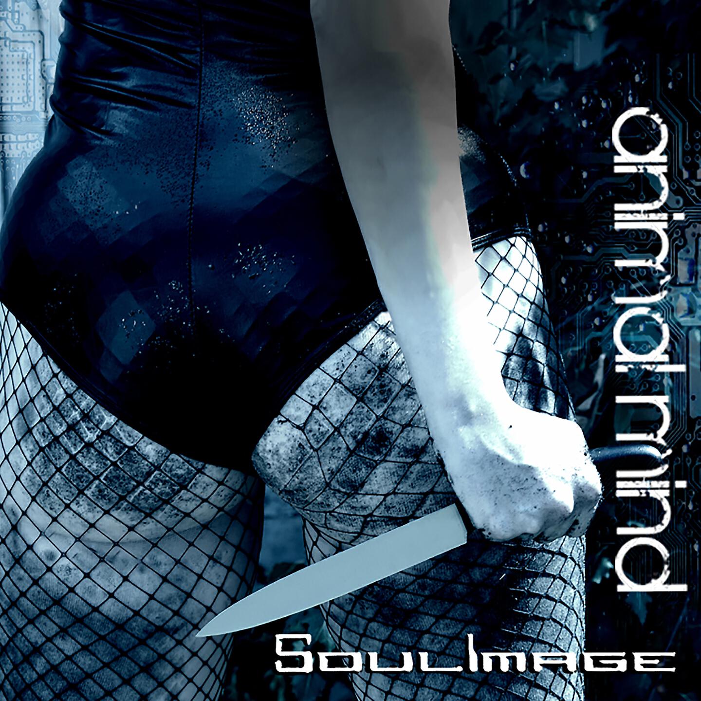 Soulimage - How to Live, How to Hope, How to Die (Silent Version)