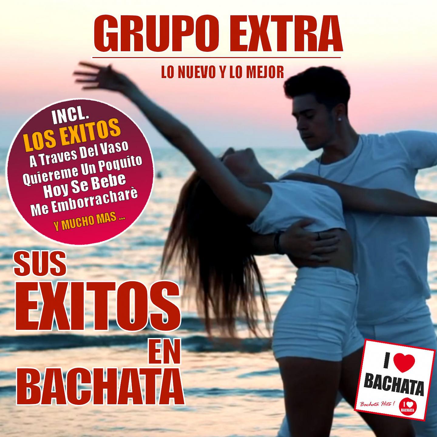 Постер альбома Sus Exitos en Bachata