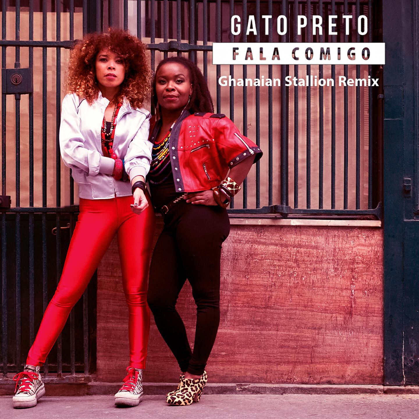 Gato Preto - Fala Comigo (Ghanaian Stallion Remix Instrumental)