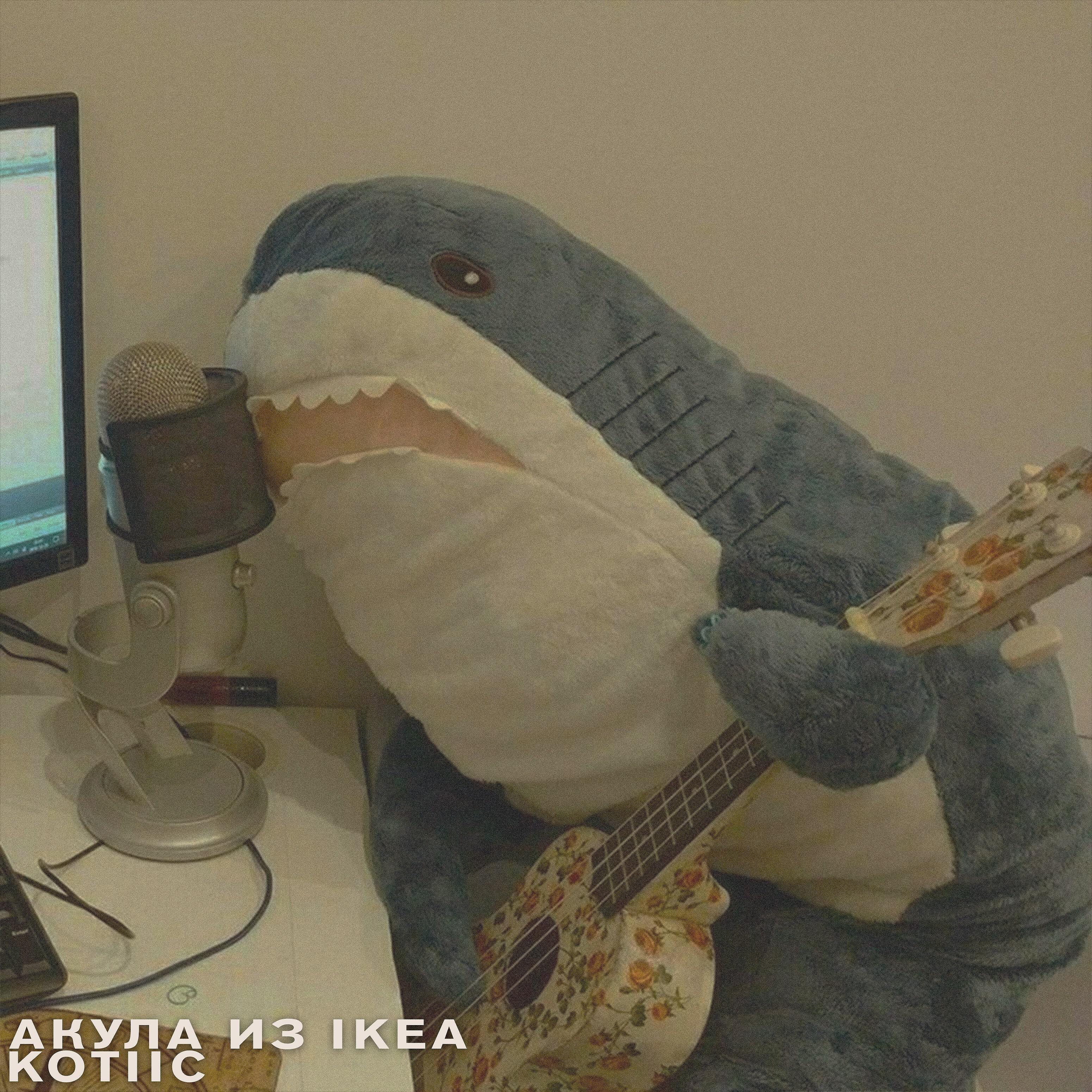 KotiiC - Акула из Ikea
