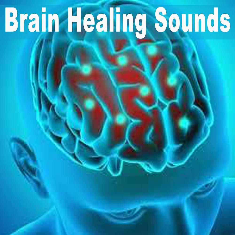Постер альбома Brain Healing Sounds (Doctor Designed for Study, Meditation, Restore Memory and Focus Problems)