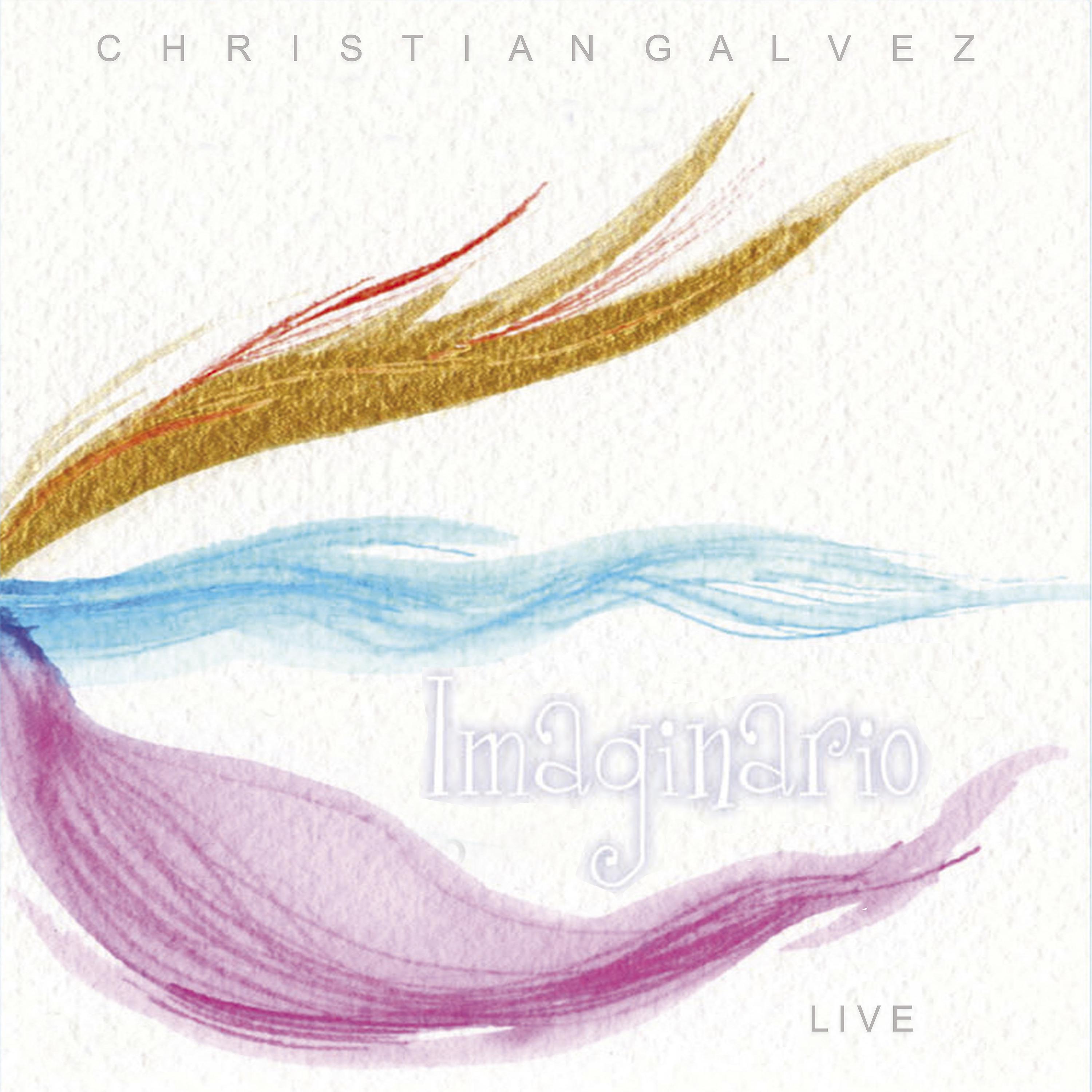 Постер альбома Imaginario Live