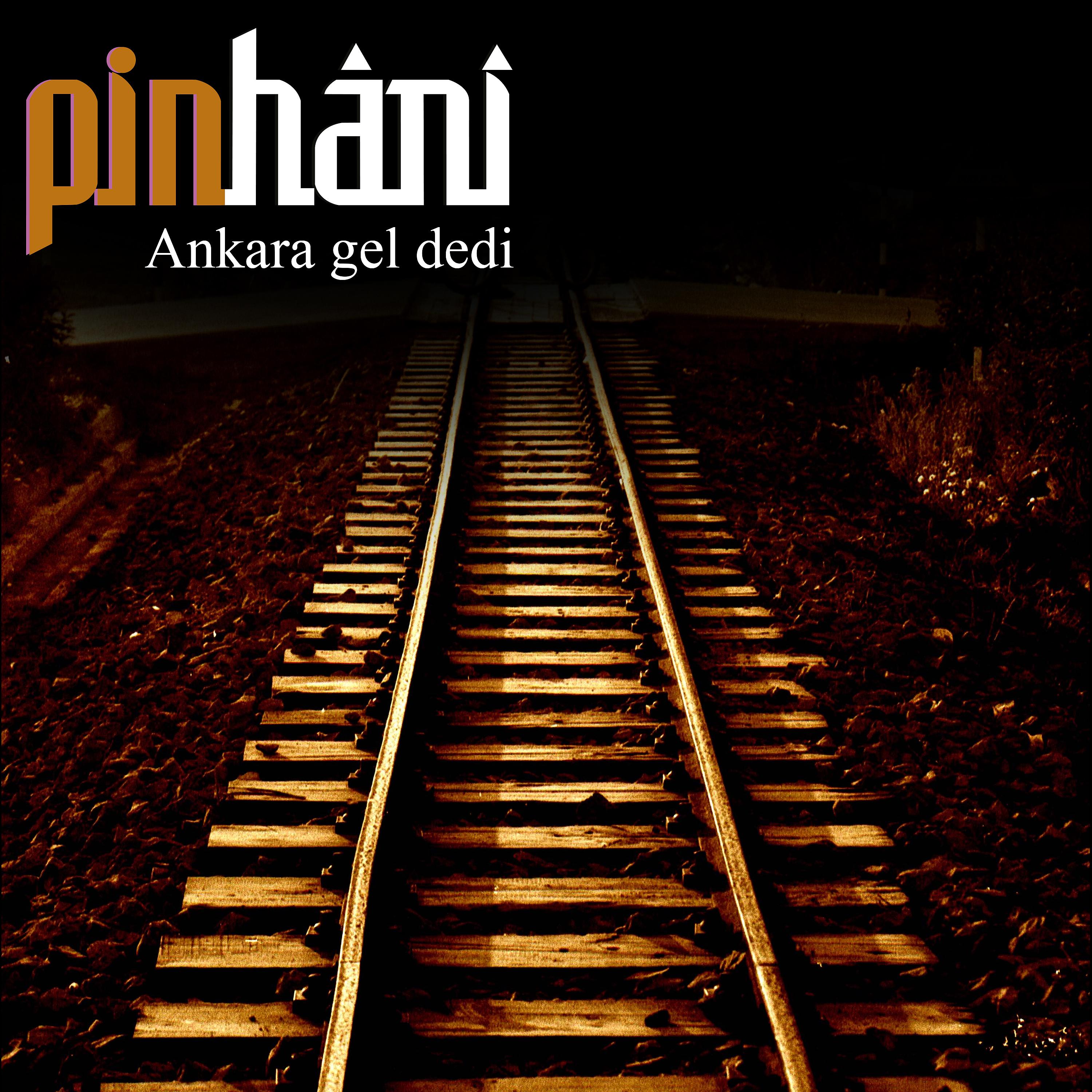 Постер альбома Ankara Gel Dedi