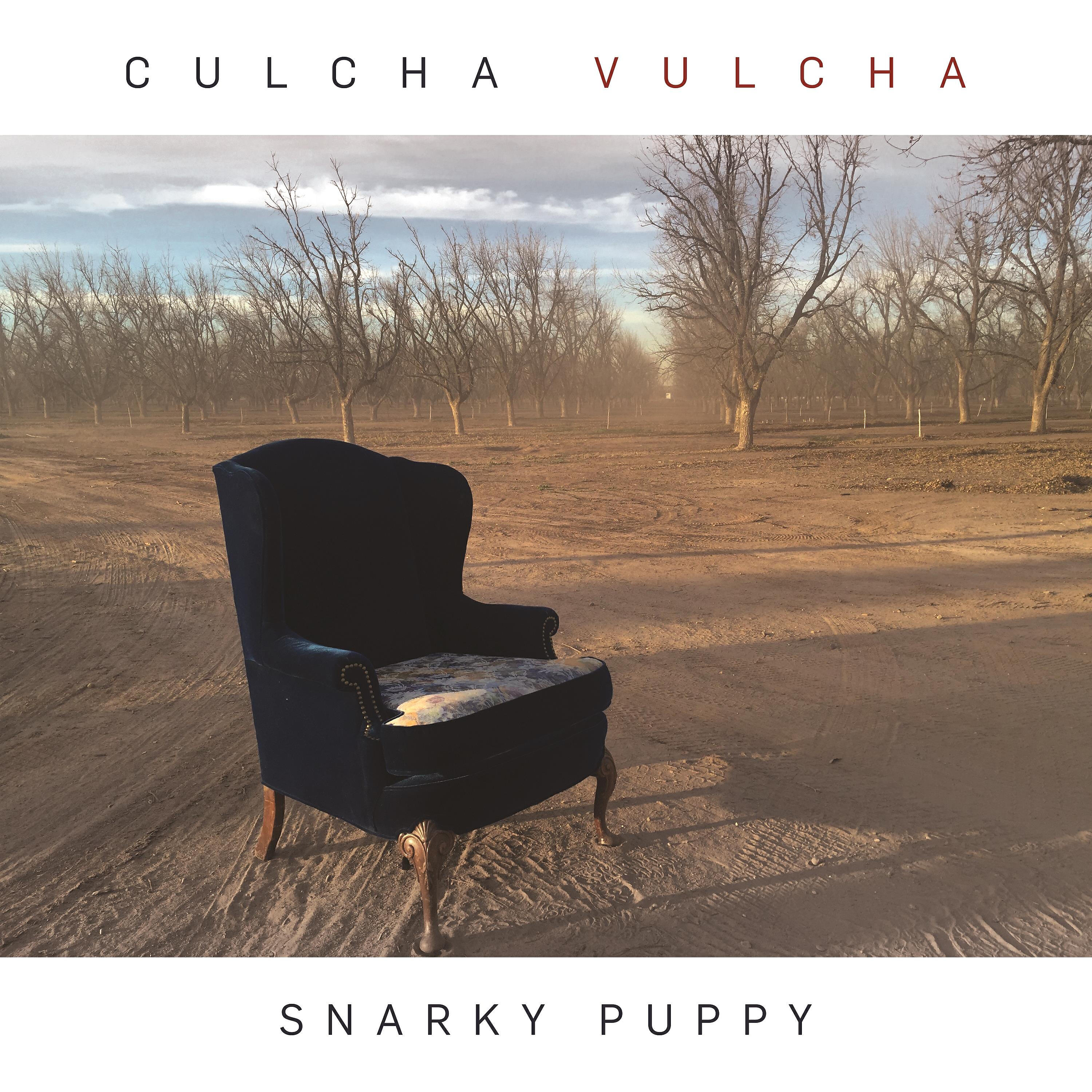 Snarky Puppy - Beep Box
