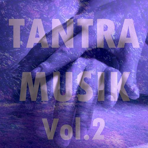 Постер альбома Tantra musik, vol. 2