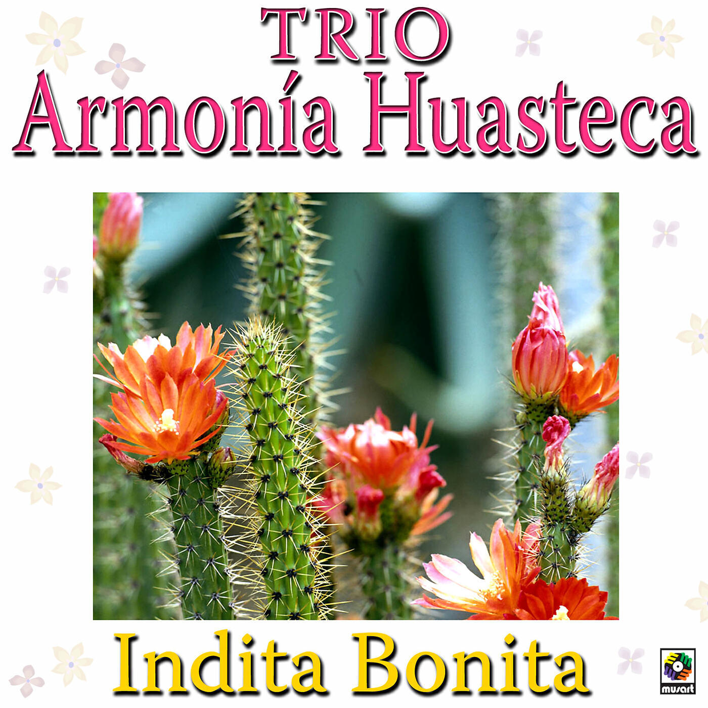 Trío Armonia Huasteca - El Gustito