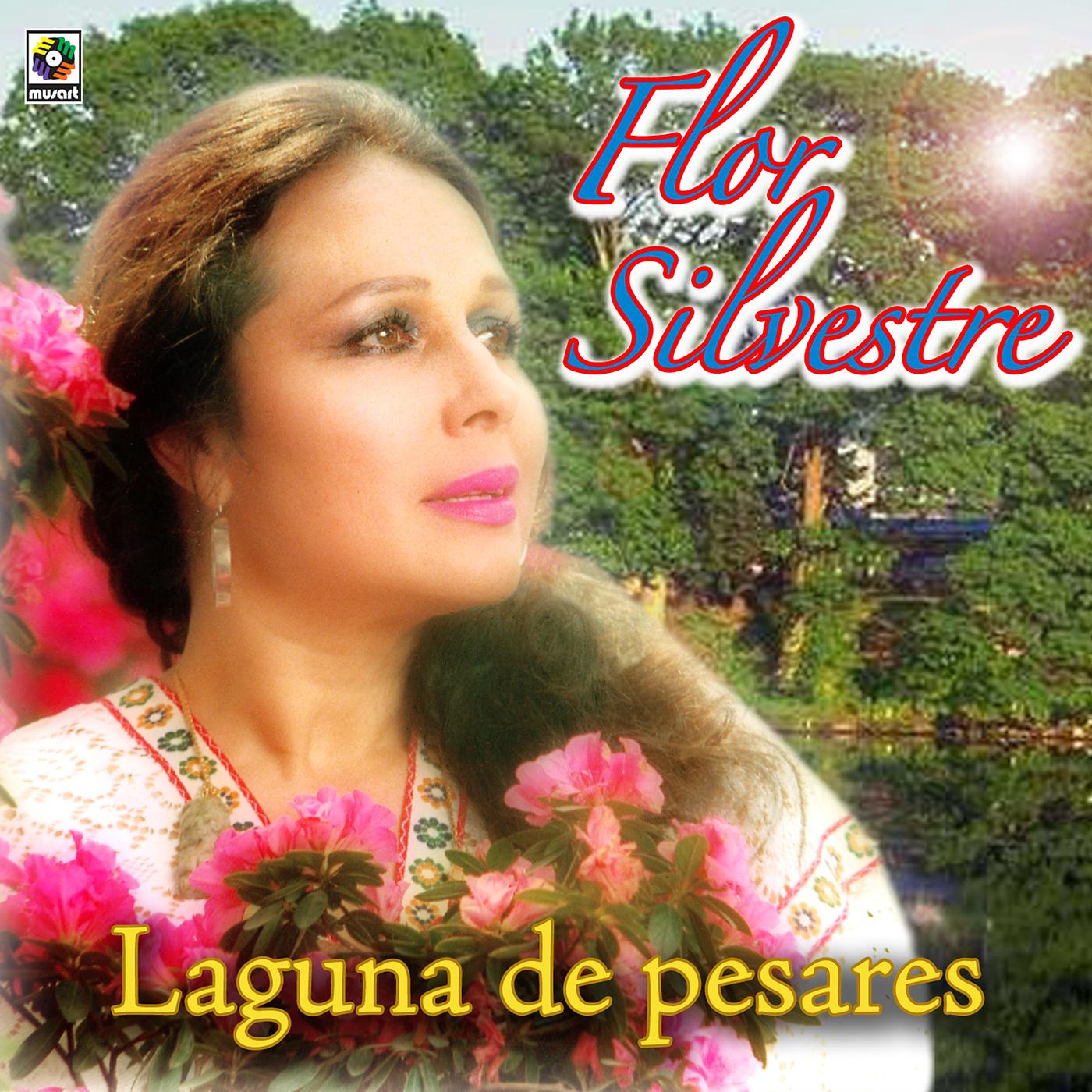 Постер альбома Laguna De Pesares