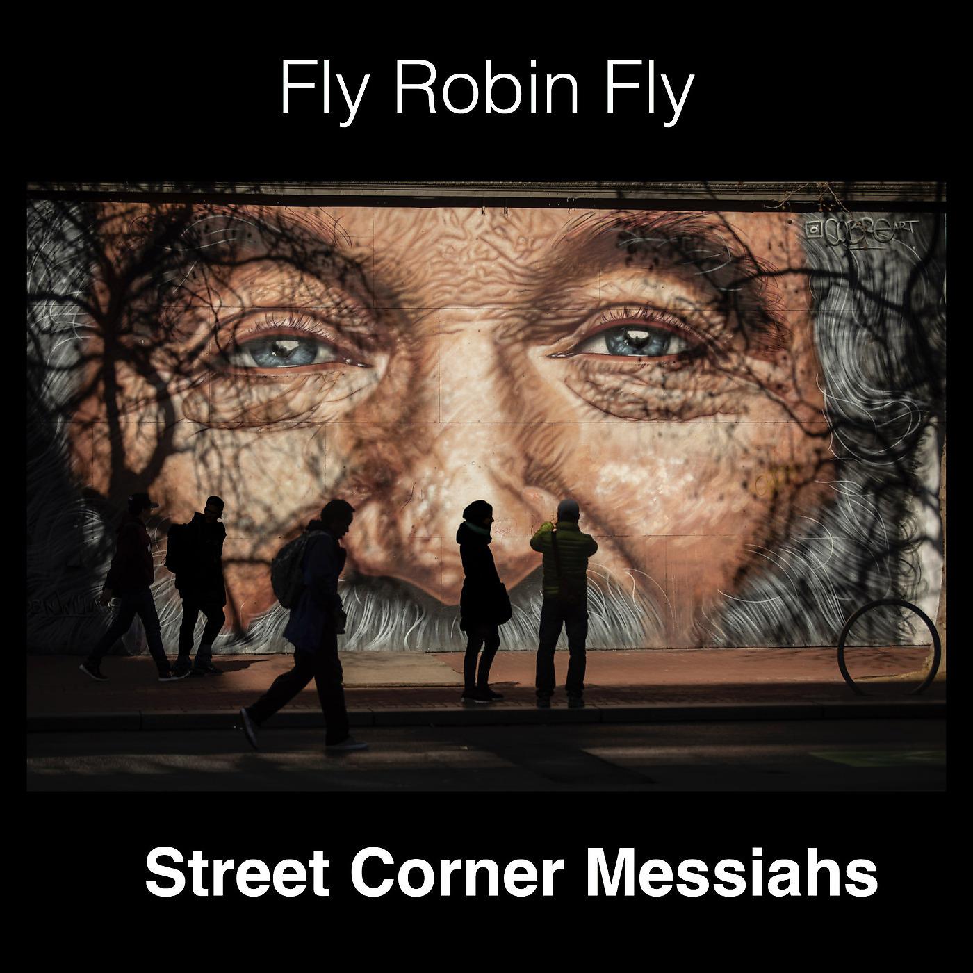 Постер альбома Fly Robin Fly