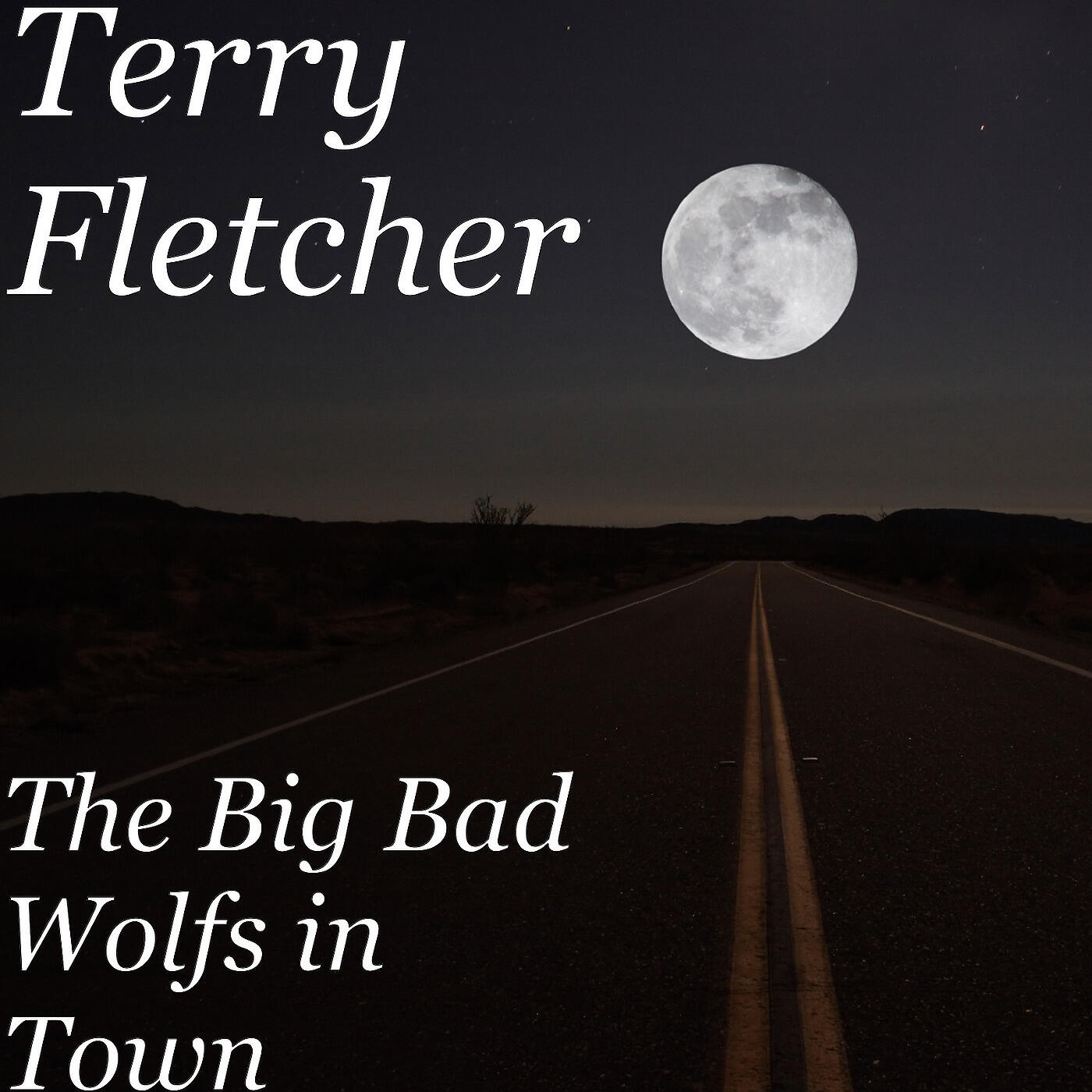 Terry Fletcher - Save All Your Lovin' for Me