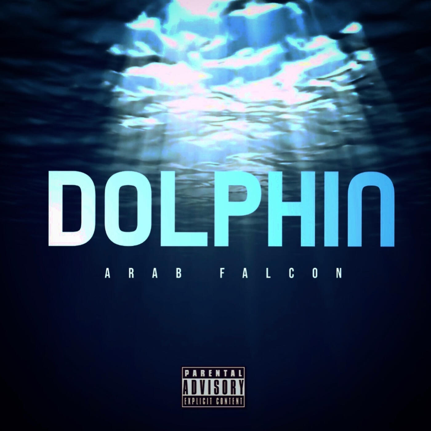 Arab Falcon - Dolphin