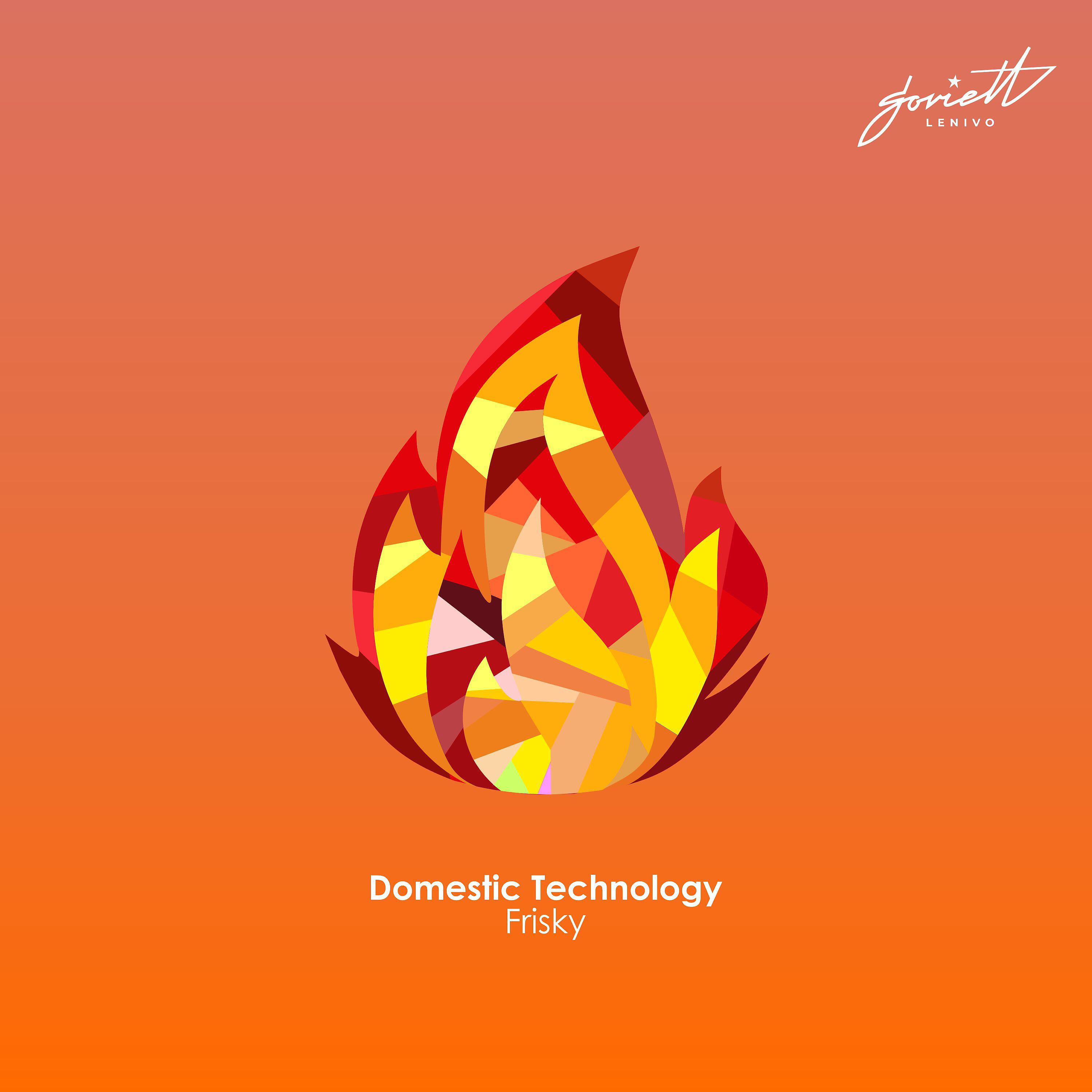 Domestic Technology - Frisky