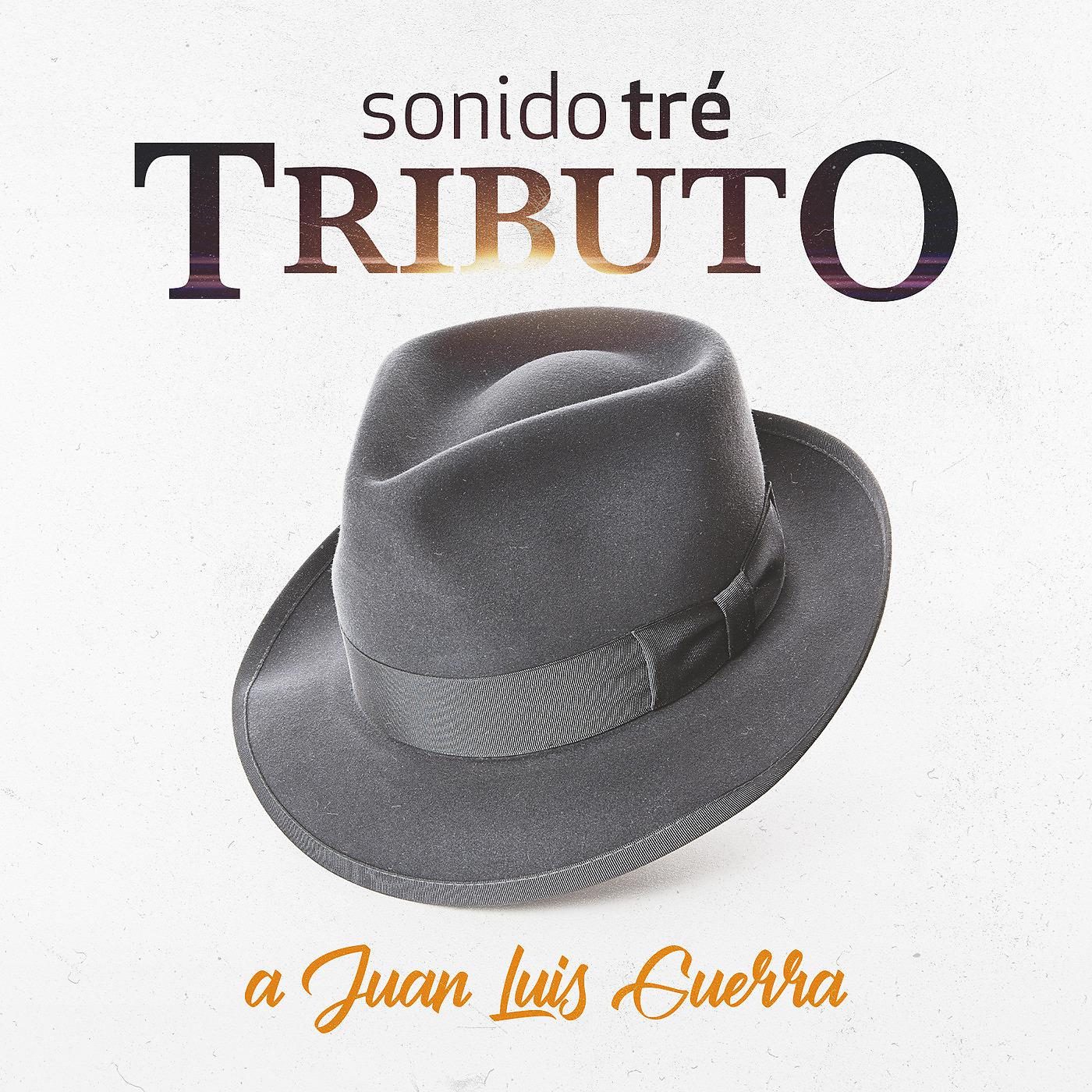 Постер альбома Tributo a Juan Luis Guerra