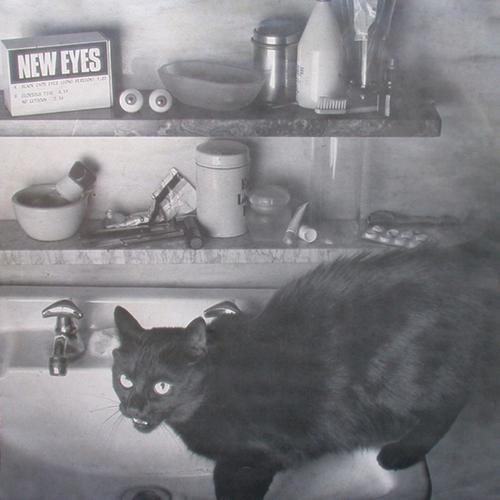 Постер альбома Black Cat's Eyes