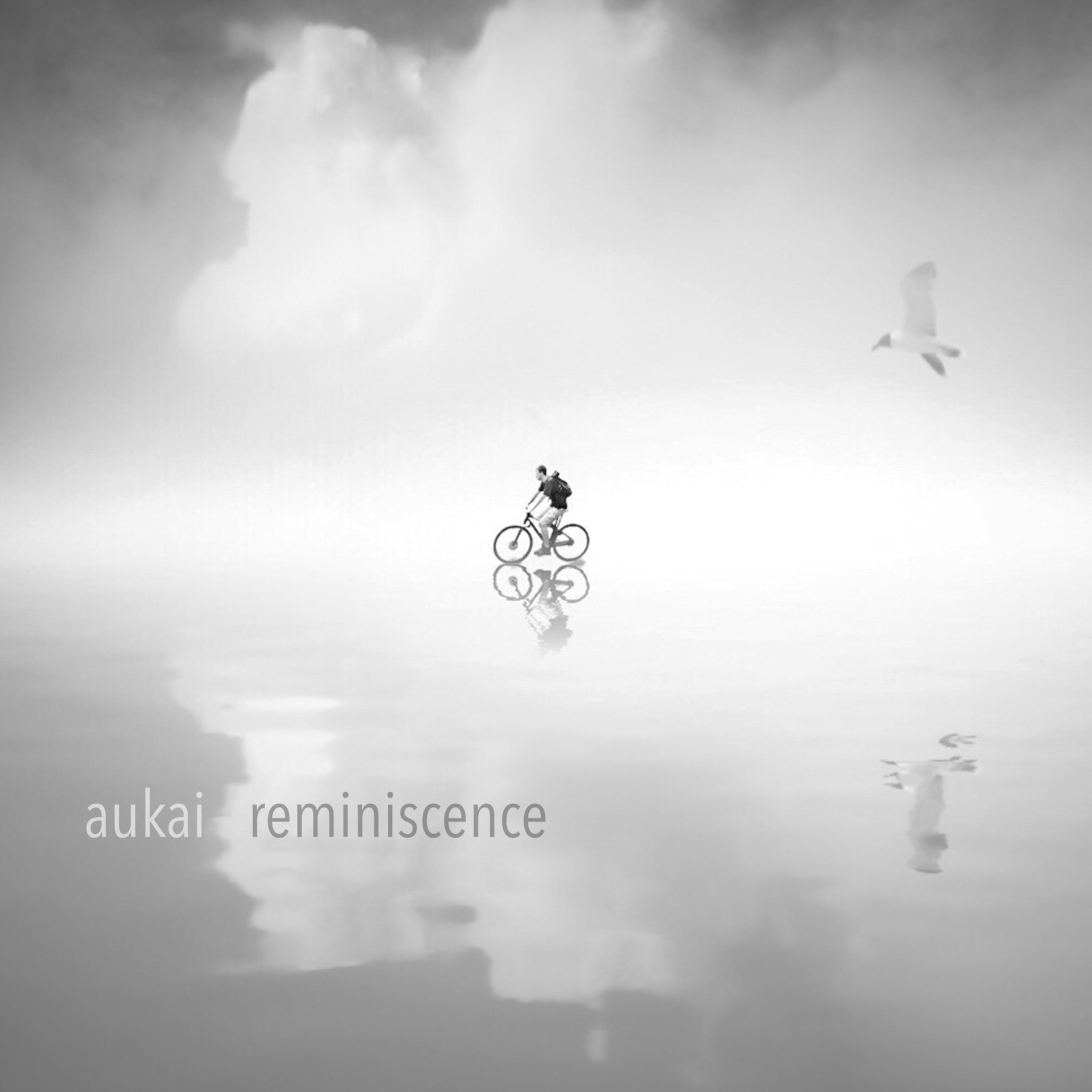 Постер альбома Reminiscence