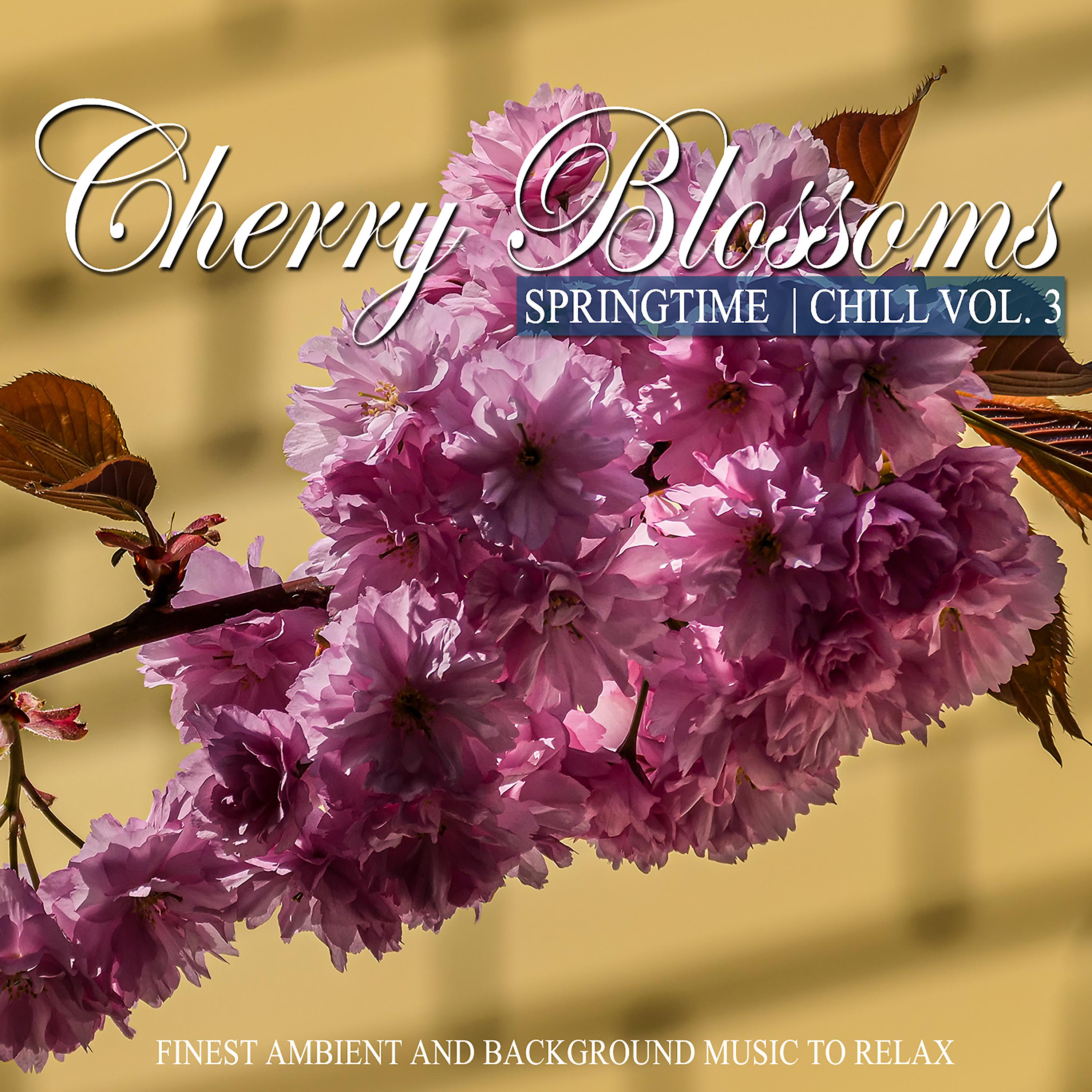 Постер альбома Cherry Blossoms Springtime Chill, Vol. 3 (Finest Ambient and Background Music to Relax)