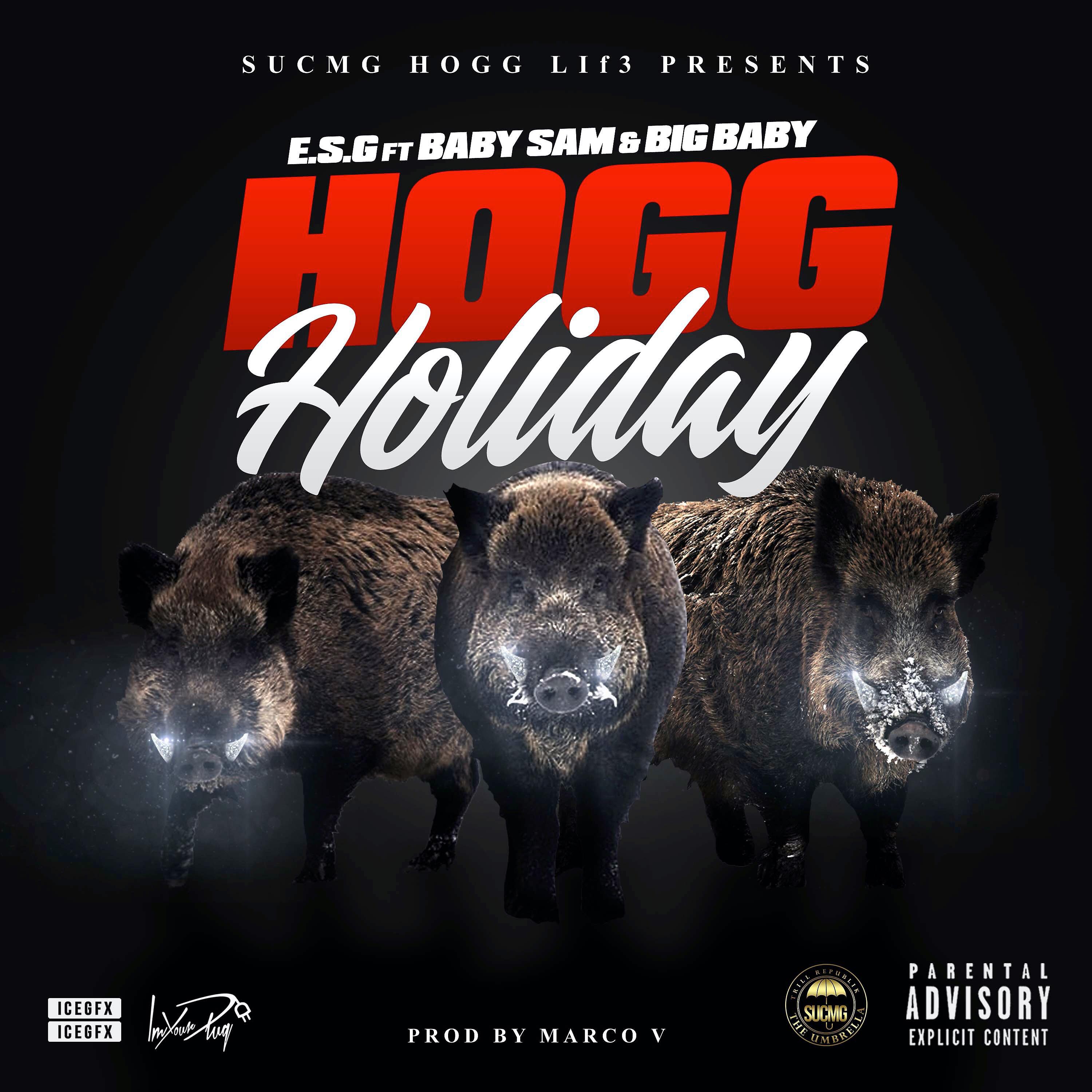 Постер альбома Hogg Holiday (feat. Baby Sam & Big Baby)