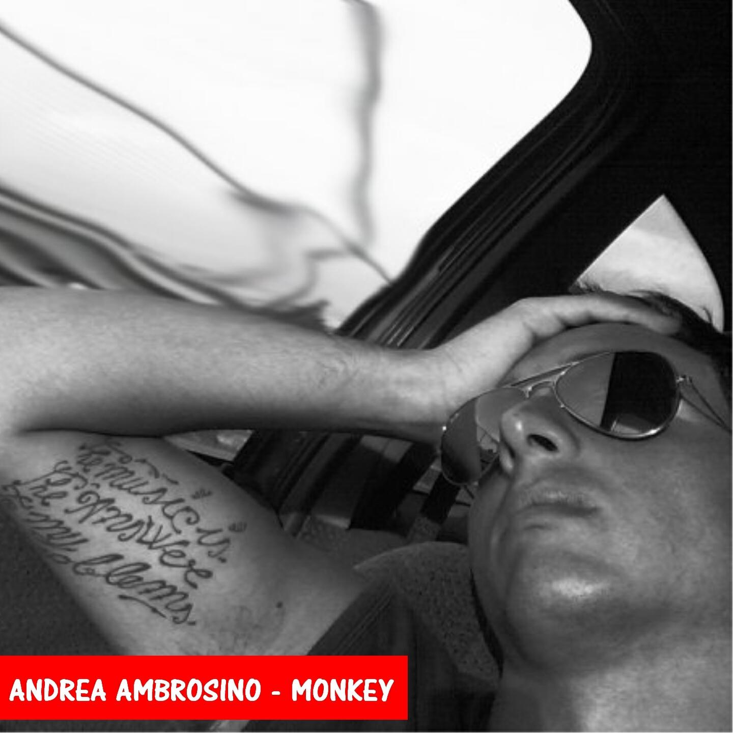 Andrea Ambrosino - Monkey (Sergio Sergi Remix)