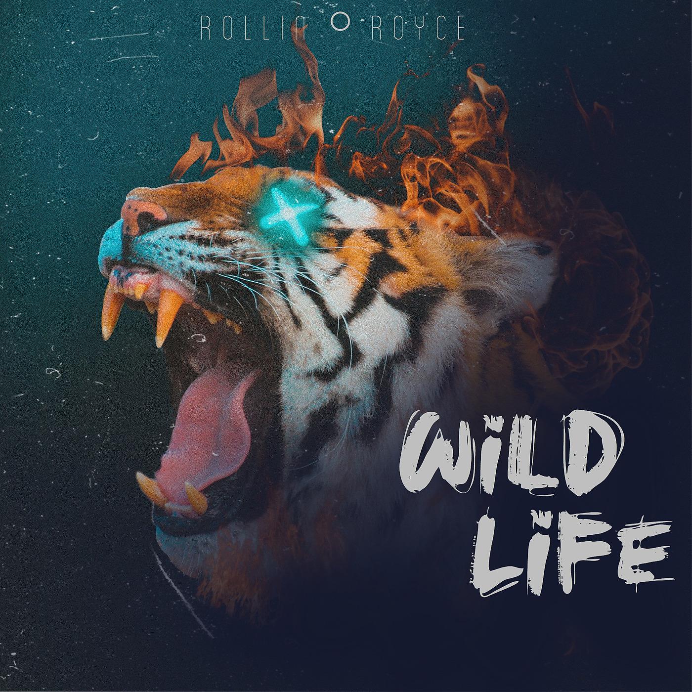 Постер альбома Wildlife