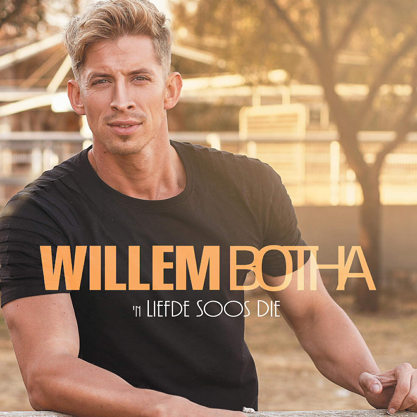 Willem Botha - 'n Liefde Soos Die
