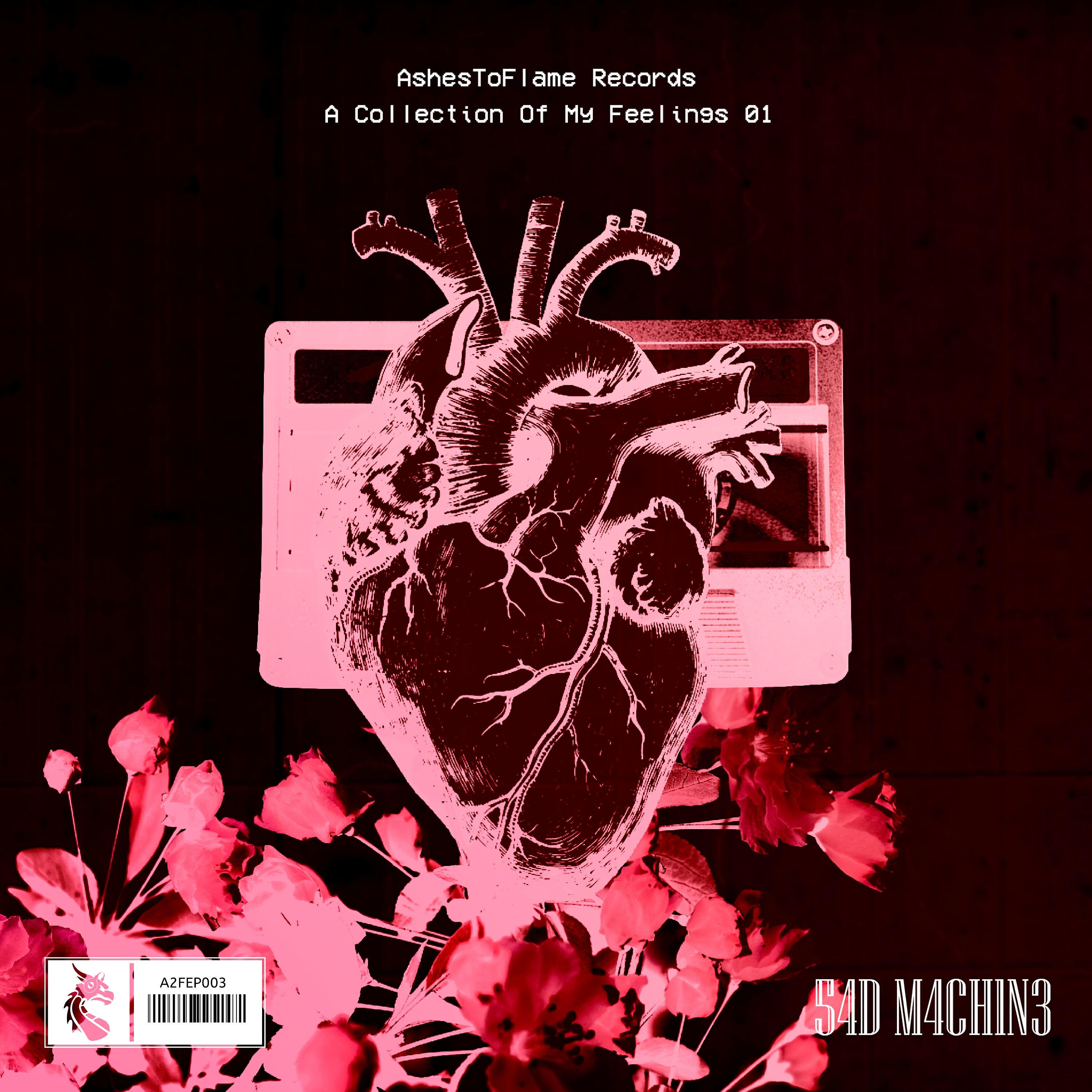 54D M4CH1N3 - Waiting For Better Days