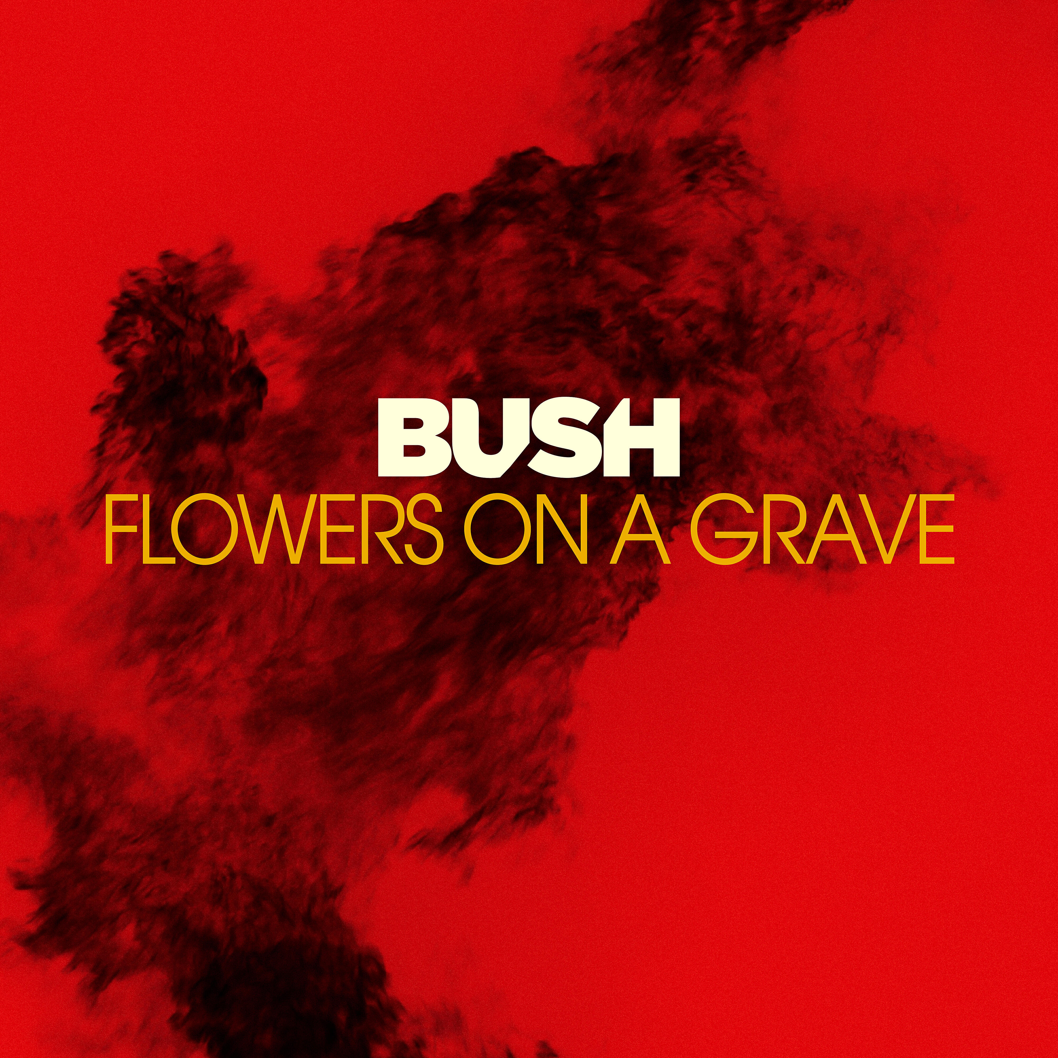 BUSH - Flowers On A Grave