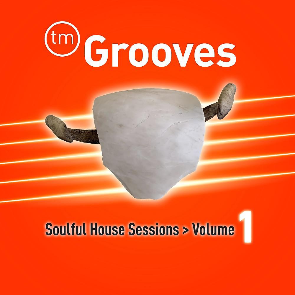 Постер альбома Soulful House Sessions, Vol. 1