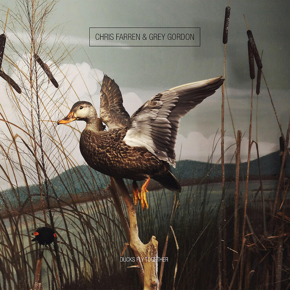 Grey Gordon - Grace