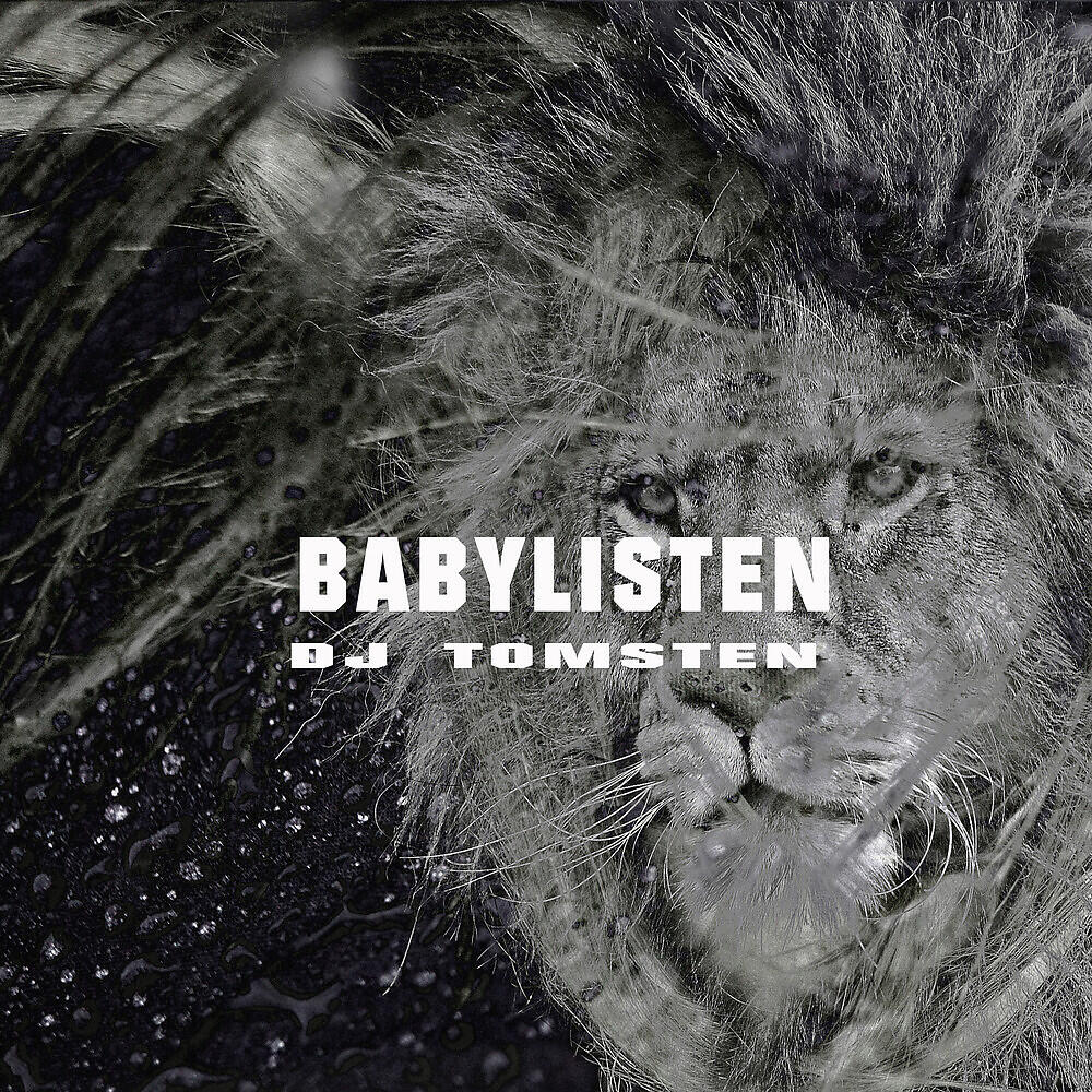 Dj Tomsten - Babylisten