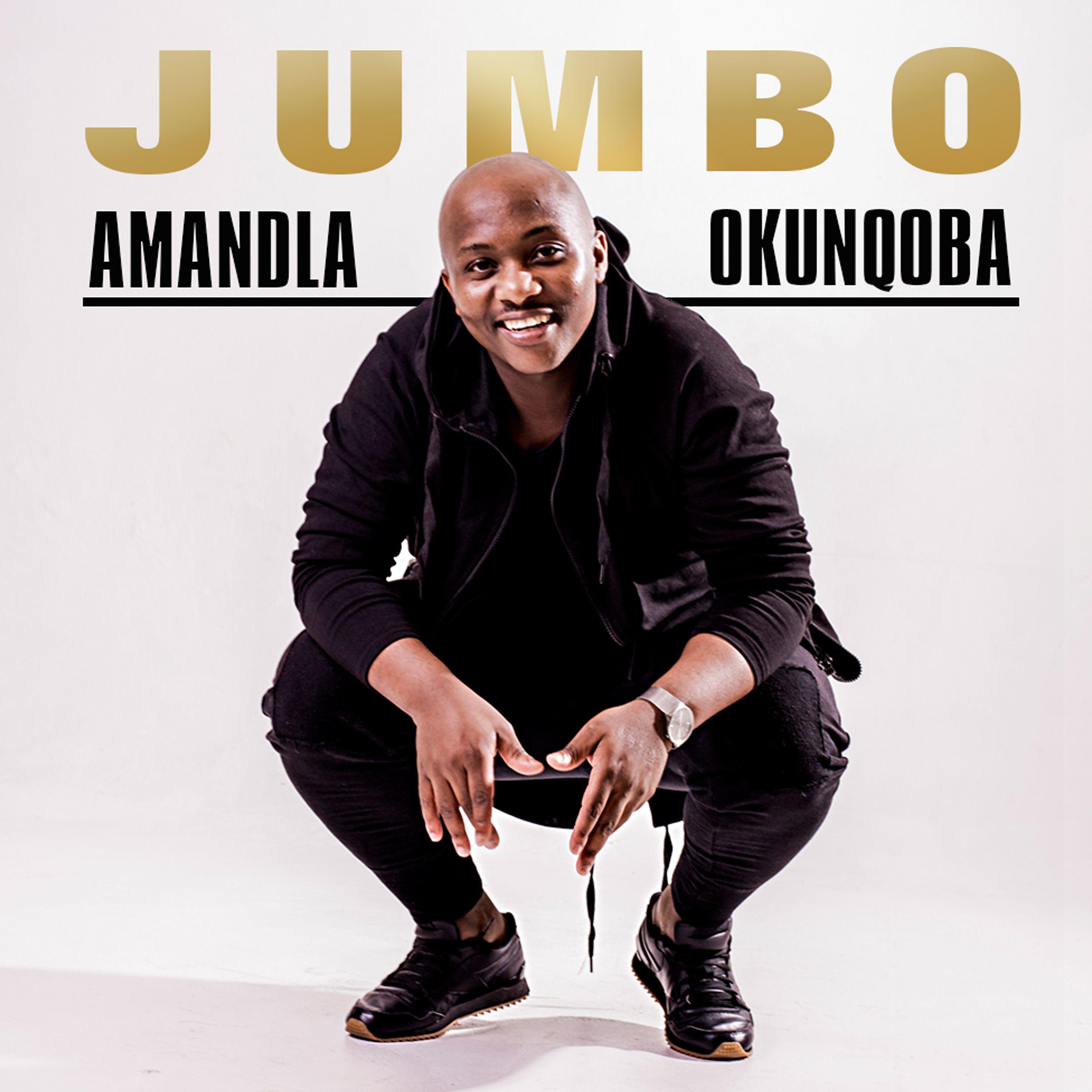 Постер альбома Amandla Okunqoba