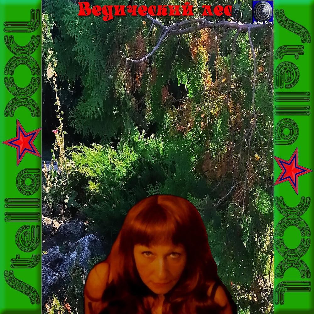 Постер альбома Ведический лес