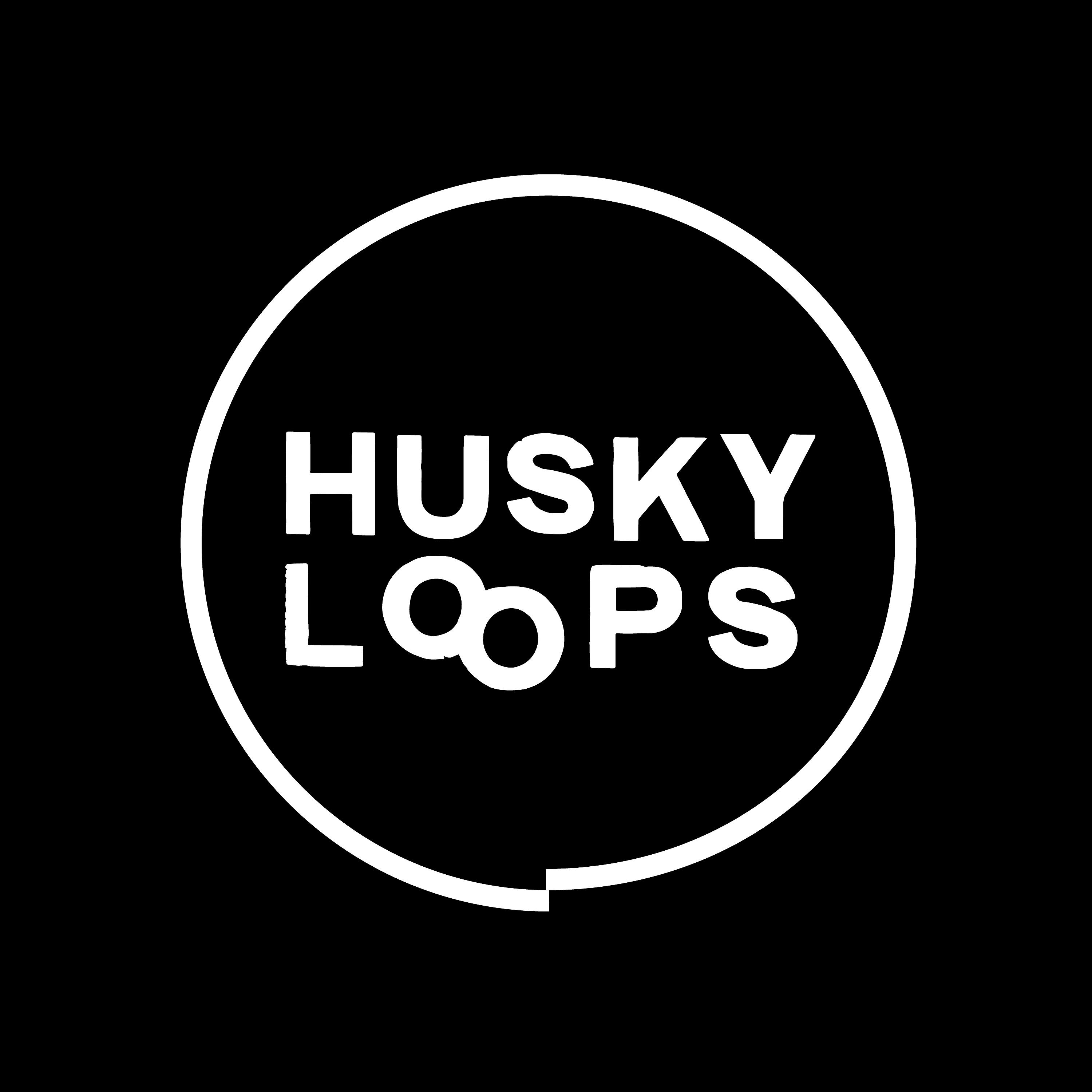 Постер альбома Husky Loops
