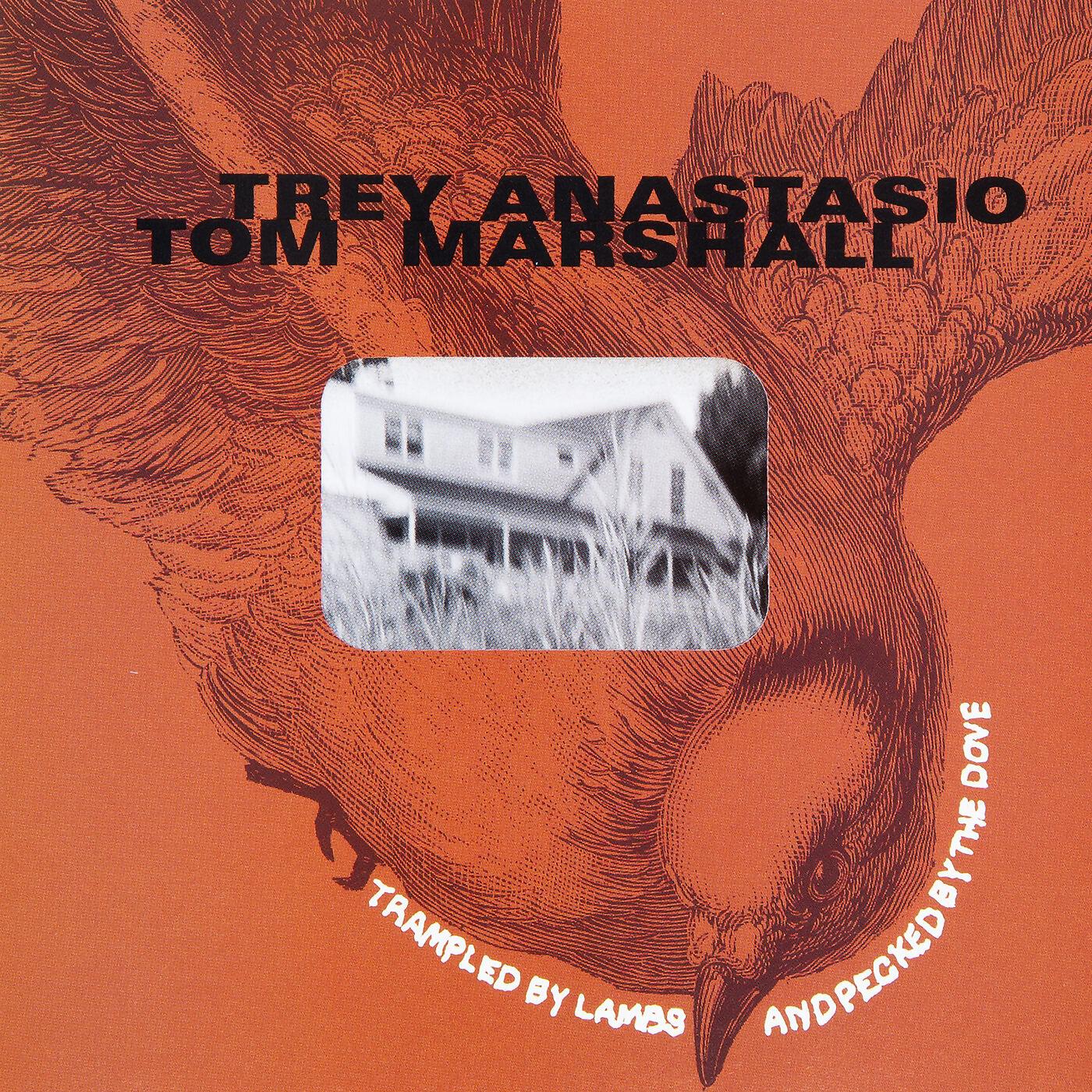 Trey Anastasio - I Don't Care