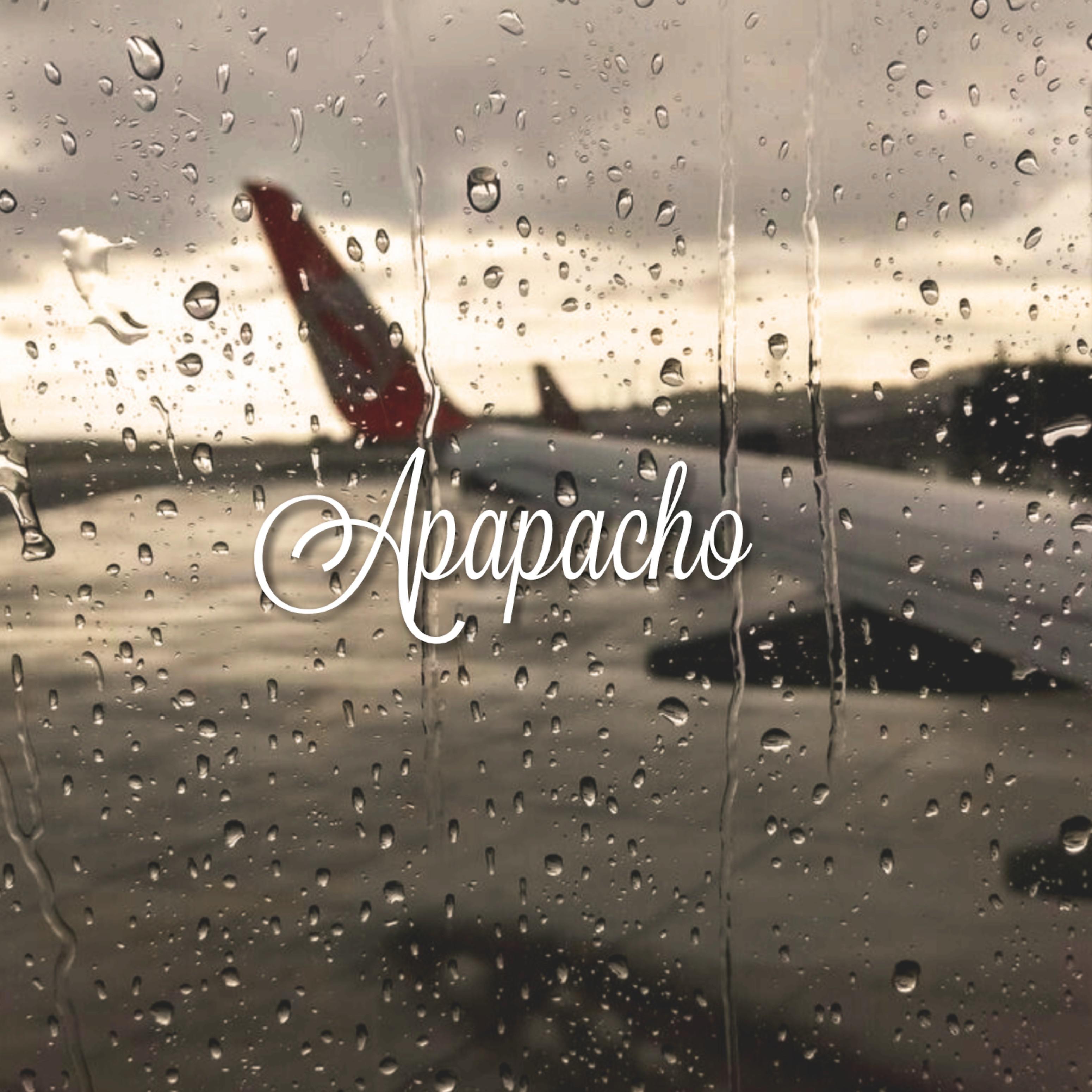 Постер альбома Apapacho