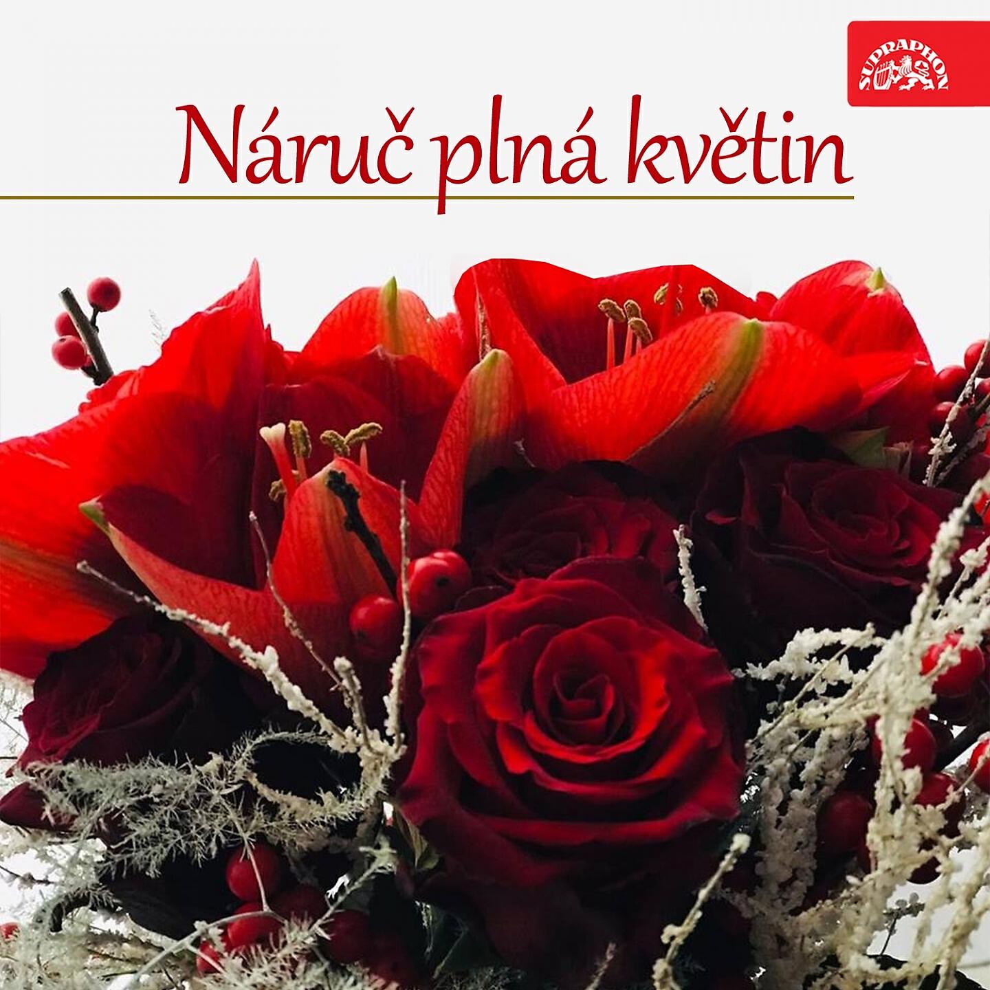 Pavel Novák - Kopretiny