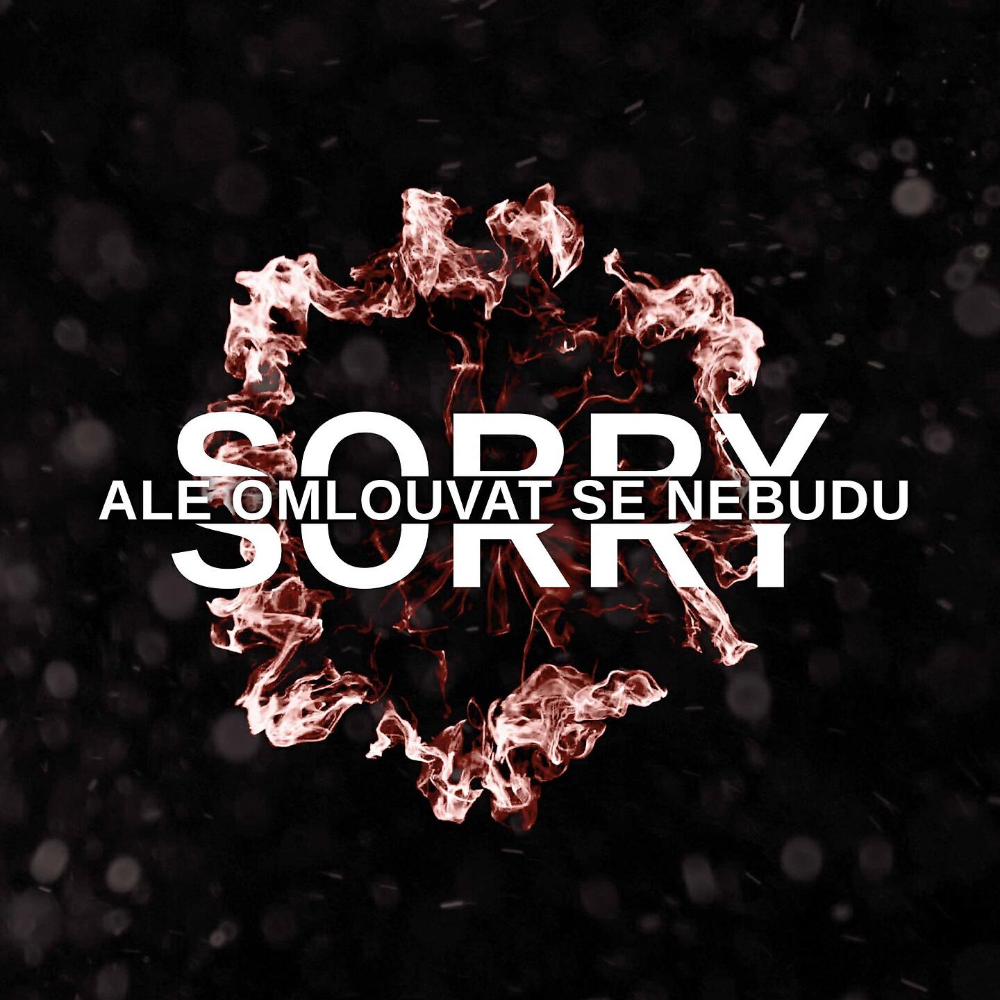 Justin Case - Sorry, ale omlouvat se nebudu