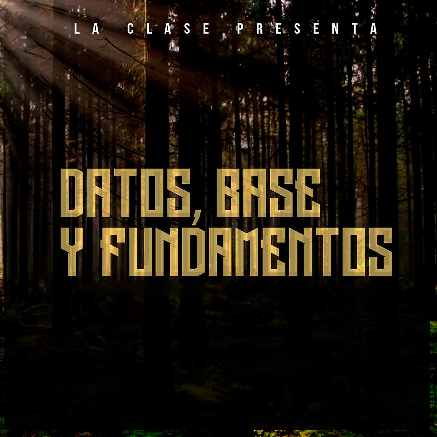 Постер альбома Datos, Base Y Fundamentos