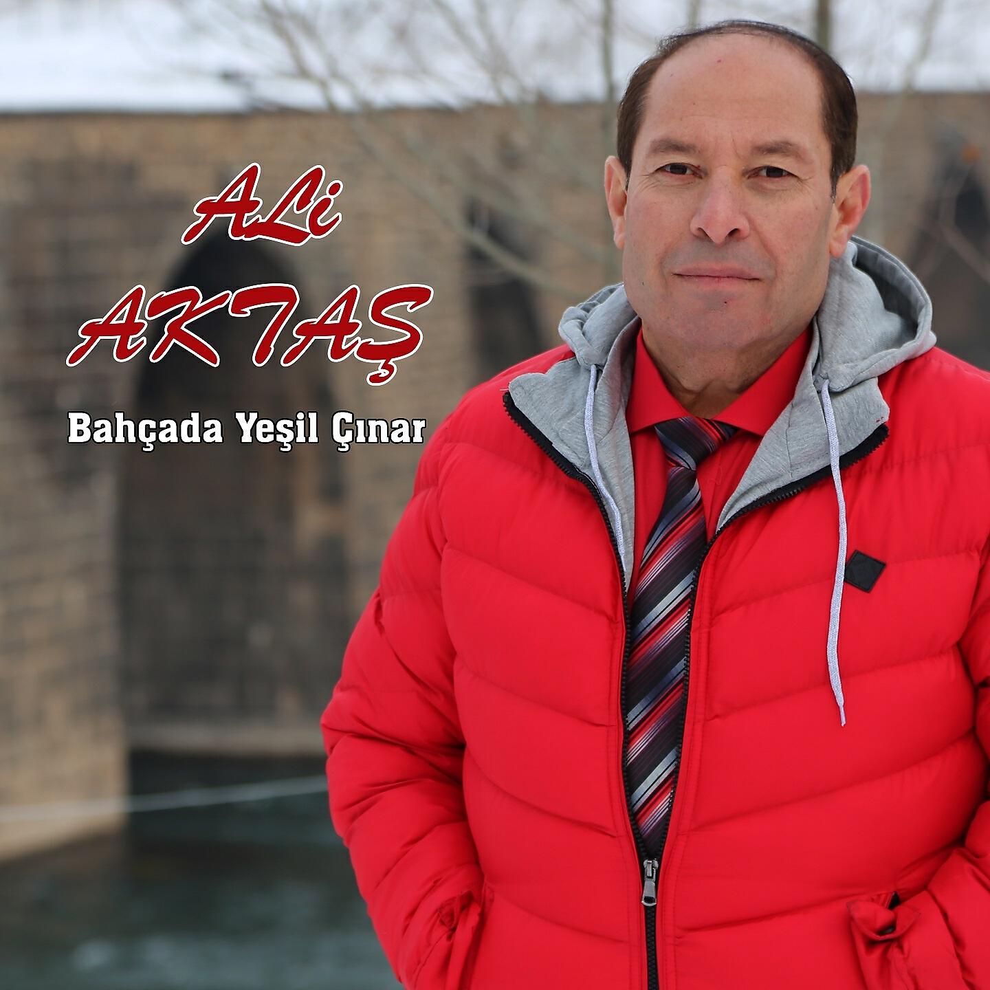 Ali Aktaş - Erzincan'a Girdim Ne Güzel Bağlar