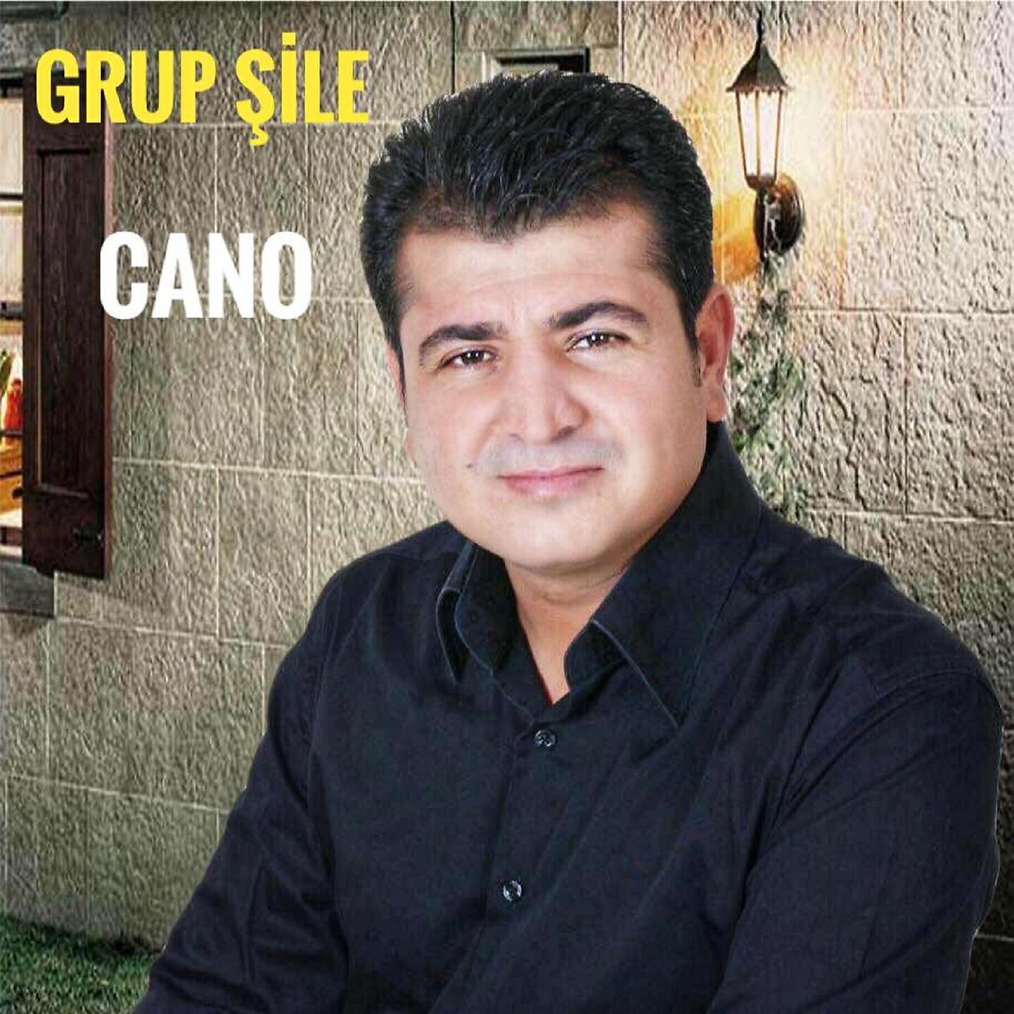 Grup Şile - Dıldarım