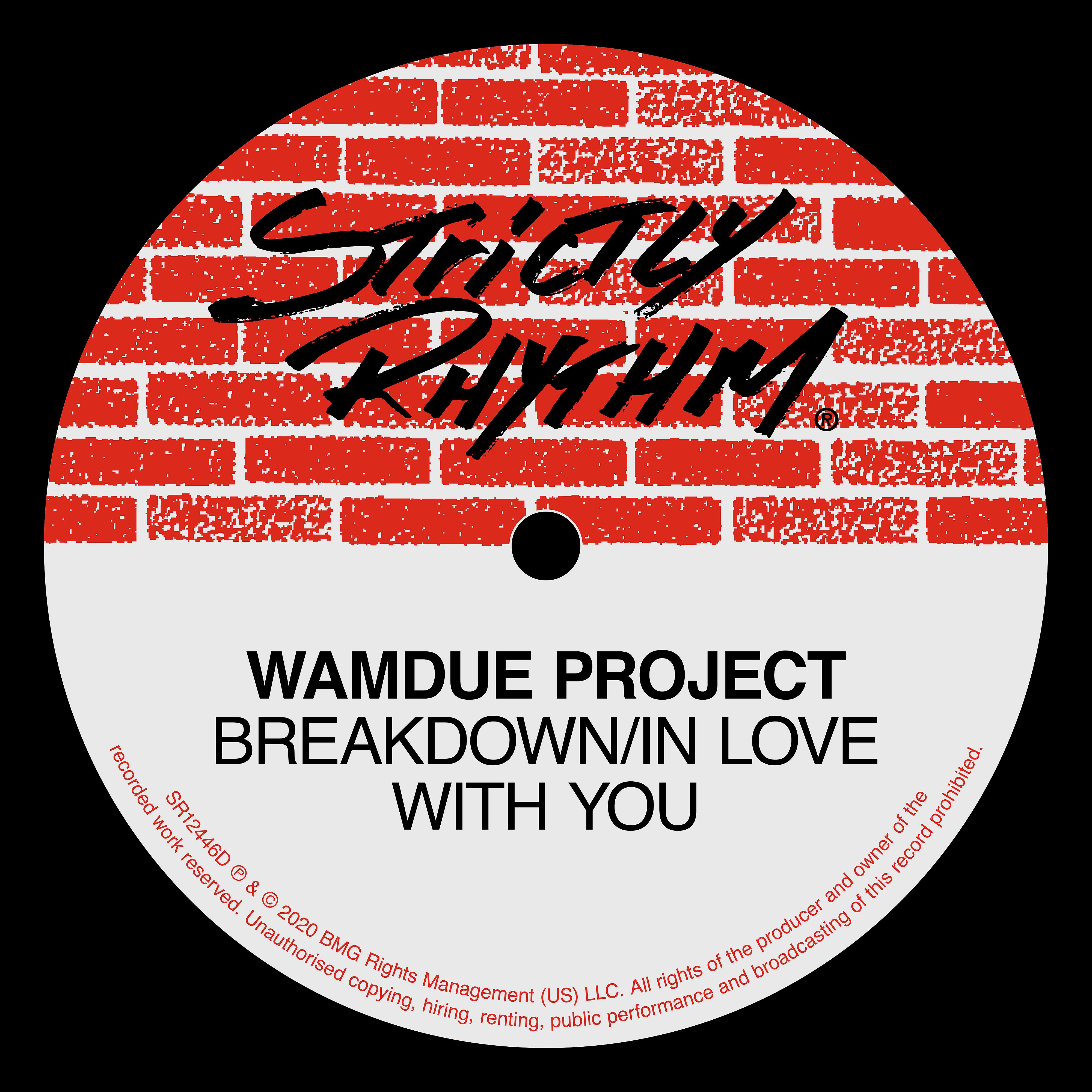 Постер альбома Breakdown / In Love With You (Remixes)