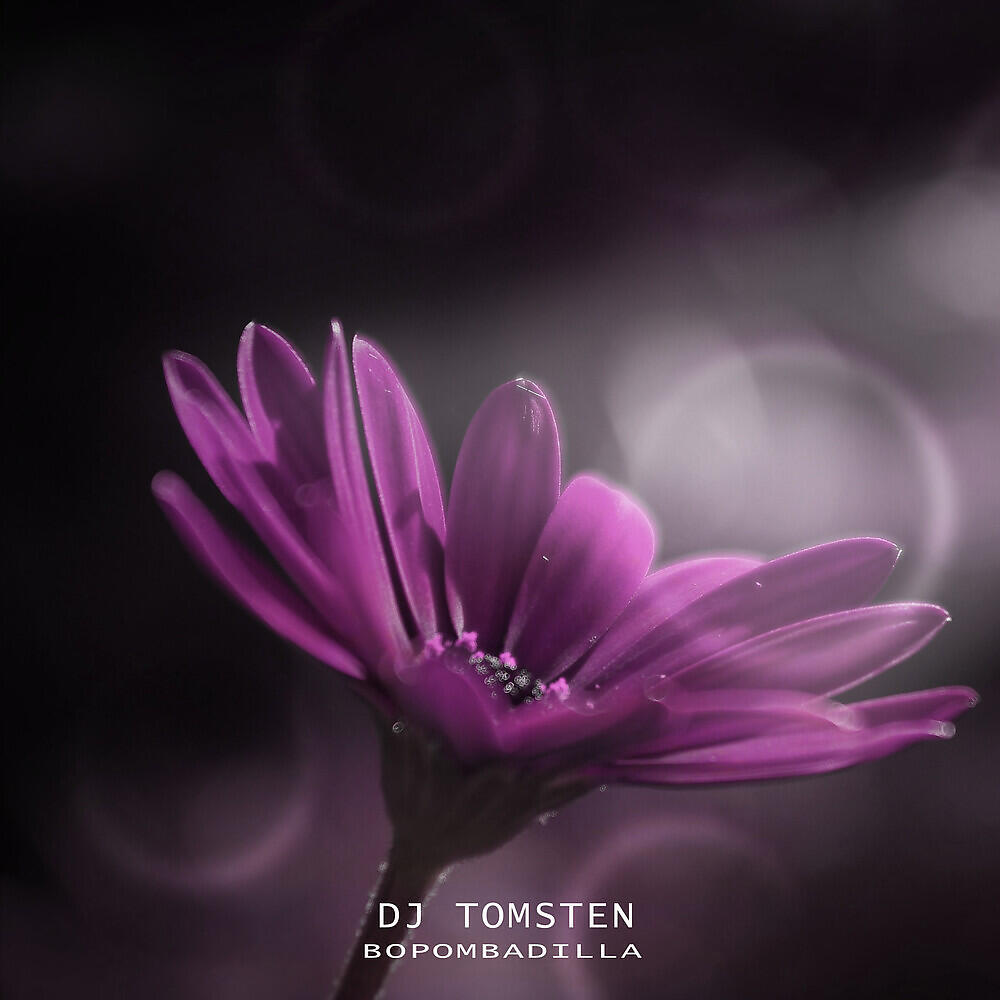 Dj Tomsten - Bopombadilla