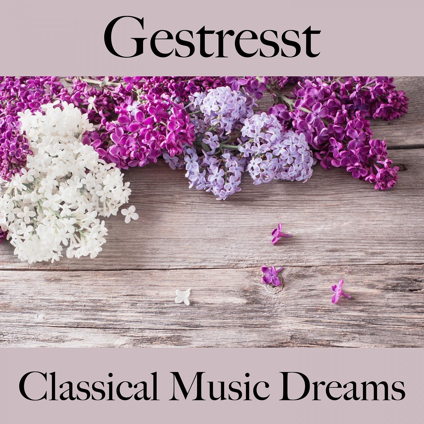Постер альбома Gestresst: Classical Music Dreams - Die Beste Musik Zum Entspannen