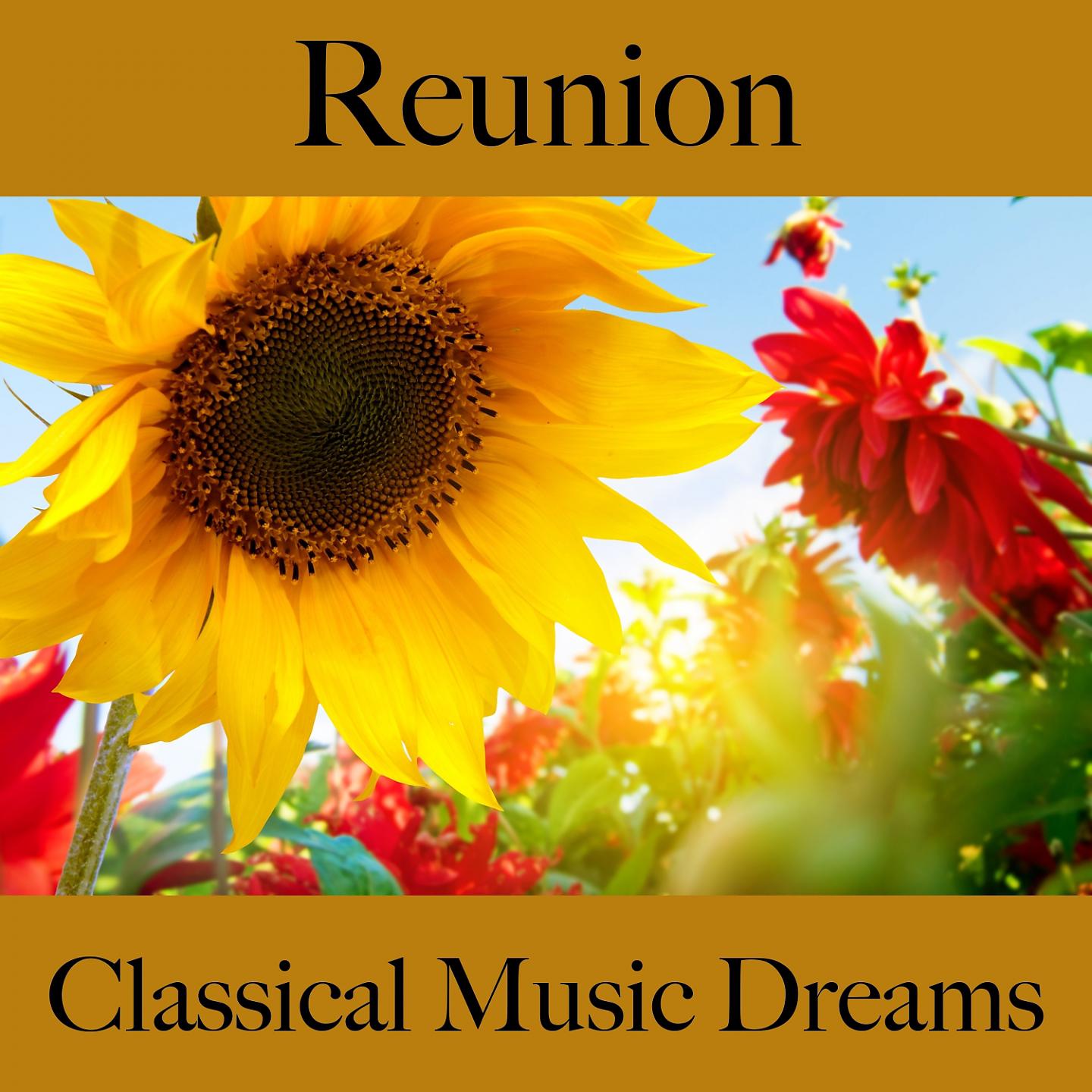 Постер альбома Reunion: Classical Music Dreams - The Best Music For Relaxation