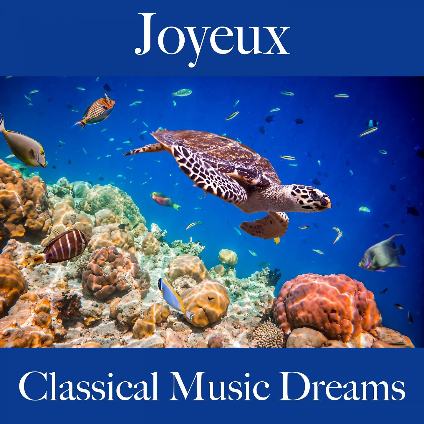Постер альбома Joyeux: Classical Music Dreams - La Meilleure Musique Pour Se Détendre