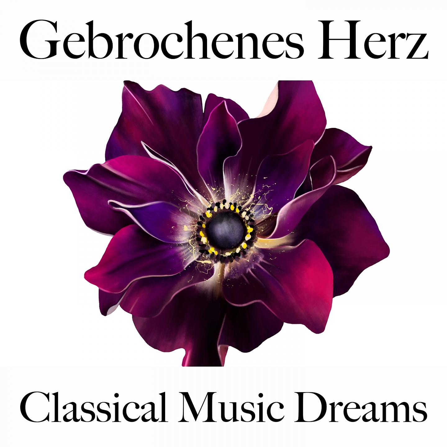 Постер альбома Gebrochenes Herz: Classical Music Dreams - Die Beste Musik Um Sich Besser Zu Fühlen