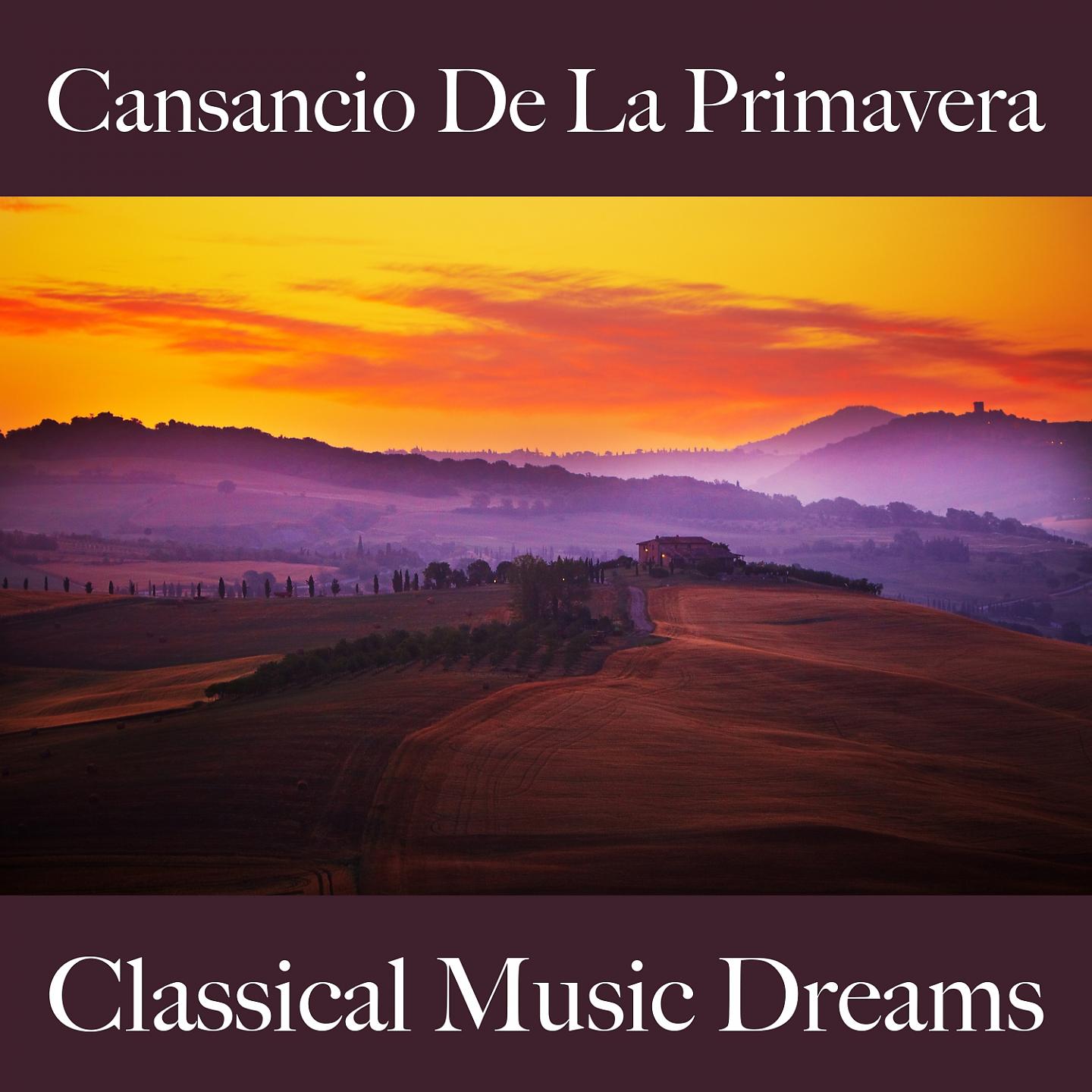 Постер альбома Cansancio De La Primavera: Classical Music Dreams - La Mejor Música Para Descansarse