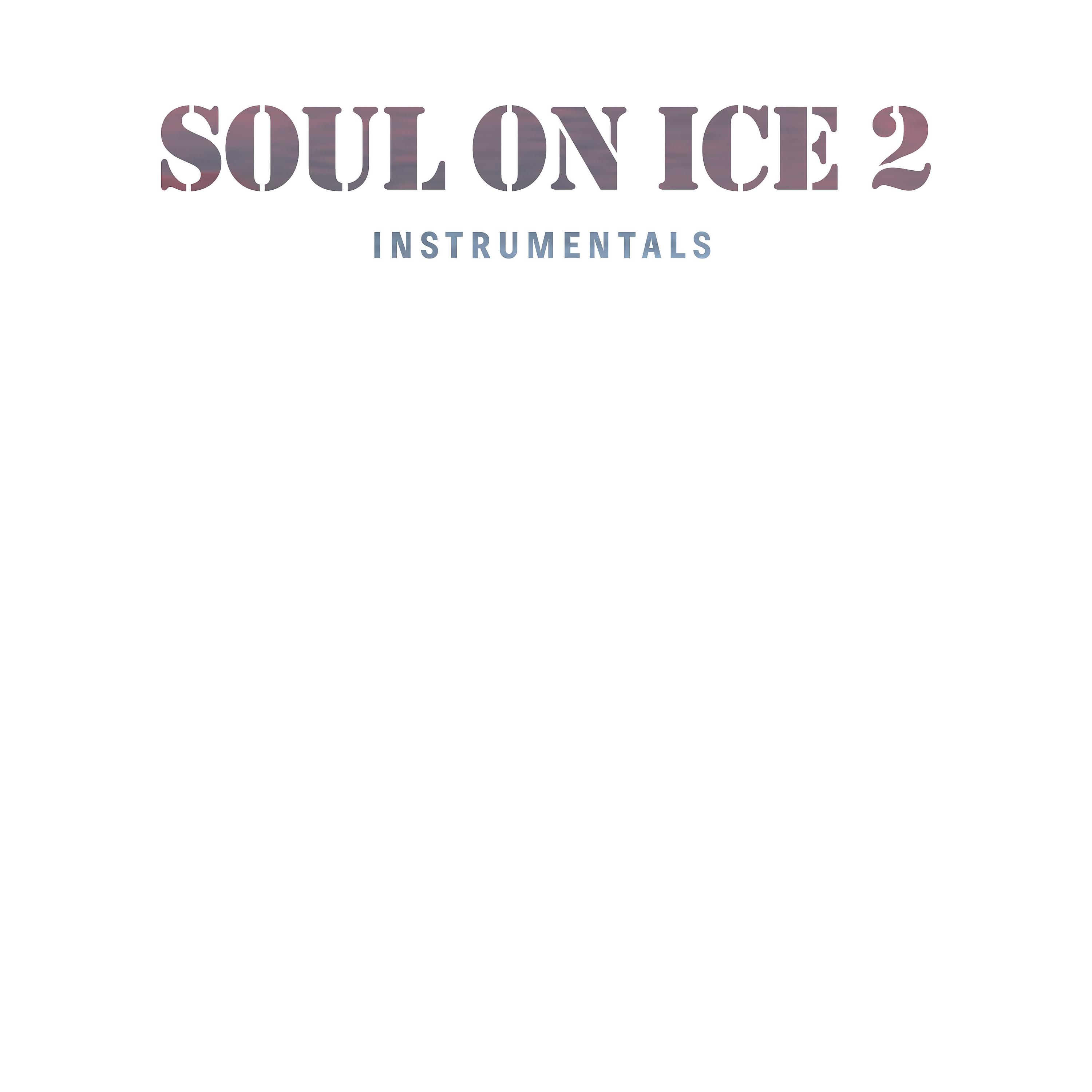 Постер альбома Soul on Ice 2 Instrumentals