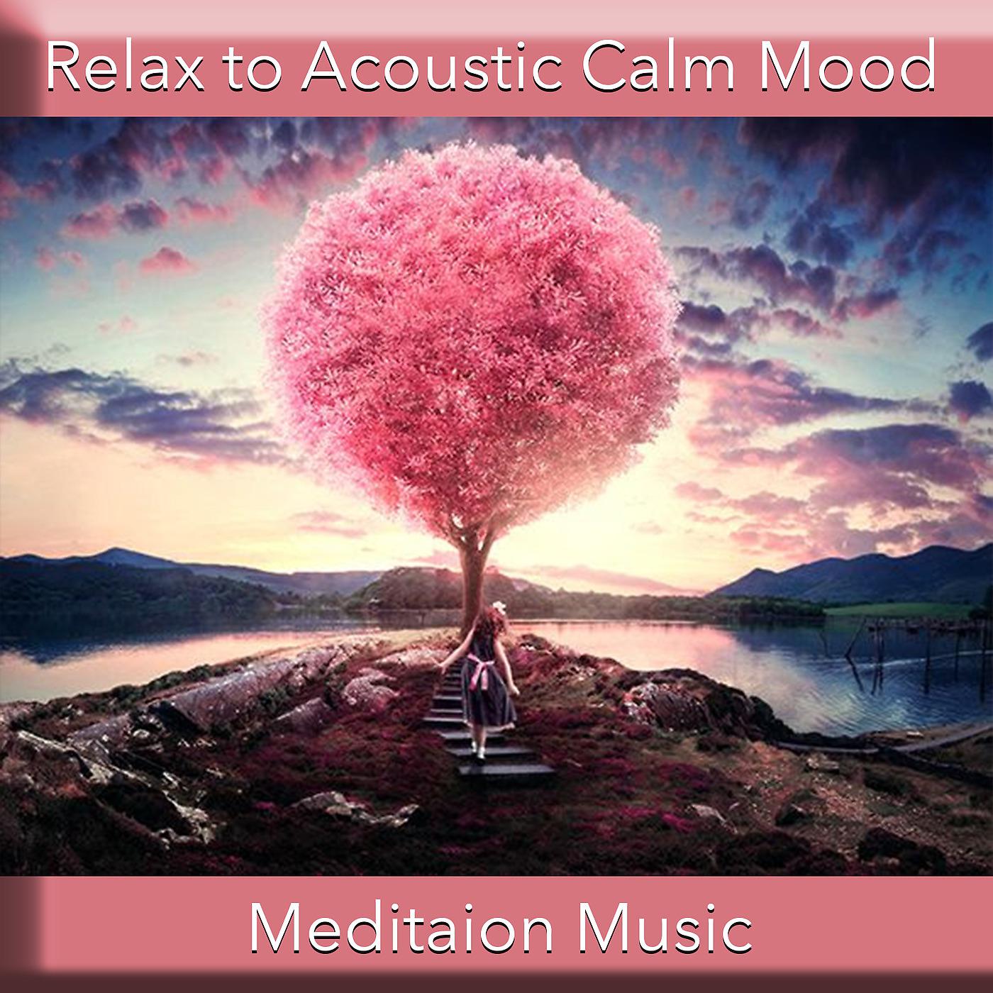 Постер альбома Relax to Acoustic Calm Mood