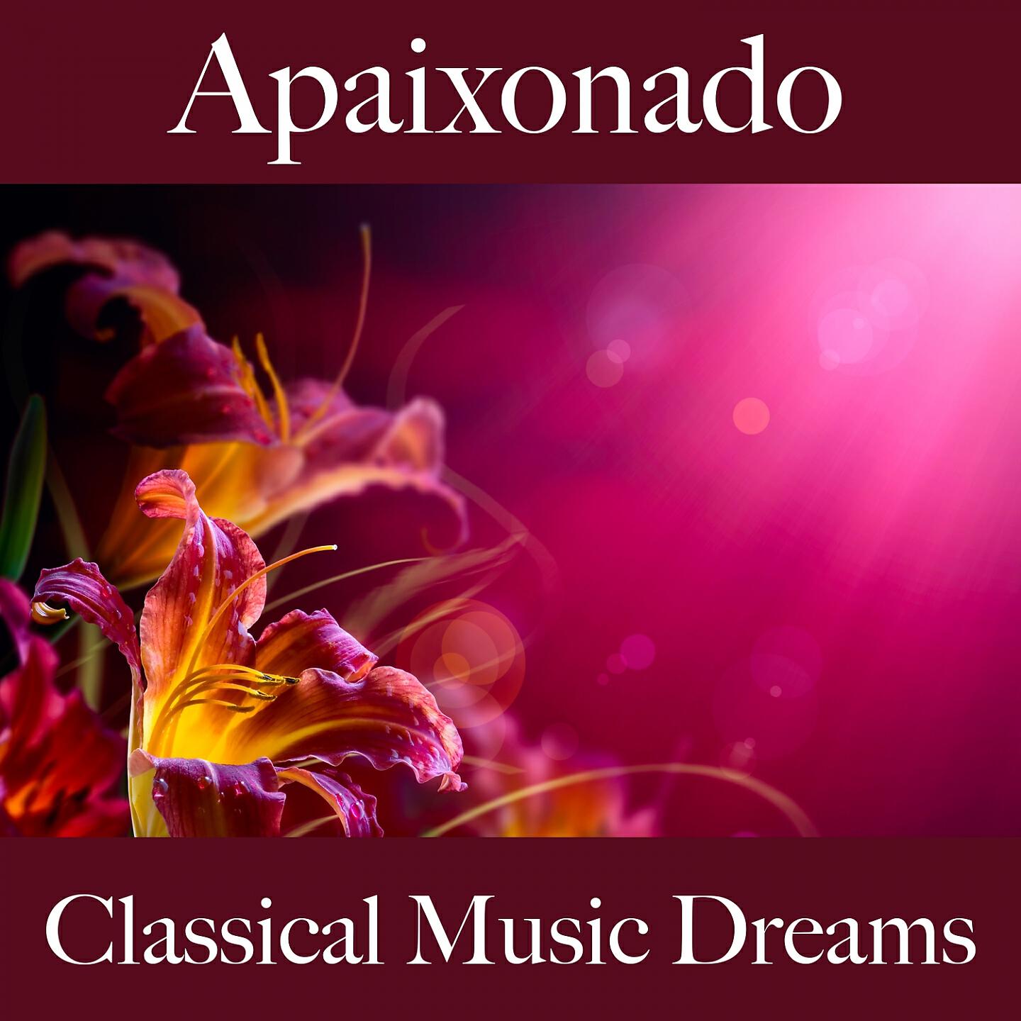 Philharmonia Orchestra - Symphony No. 38 in D Major, K. 503 'Prague': I. Adagio - Allegro