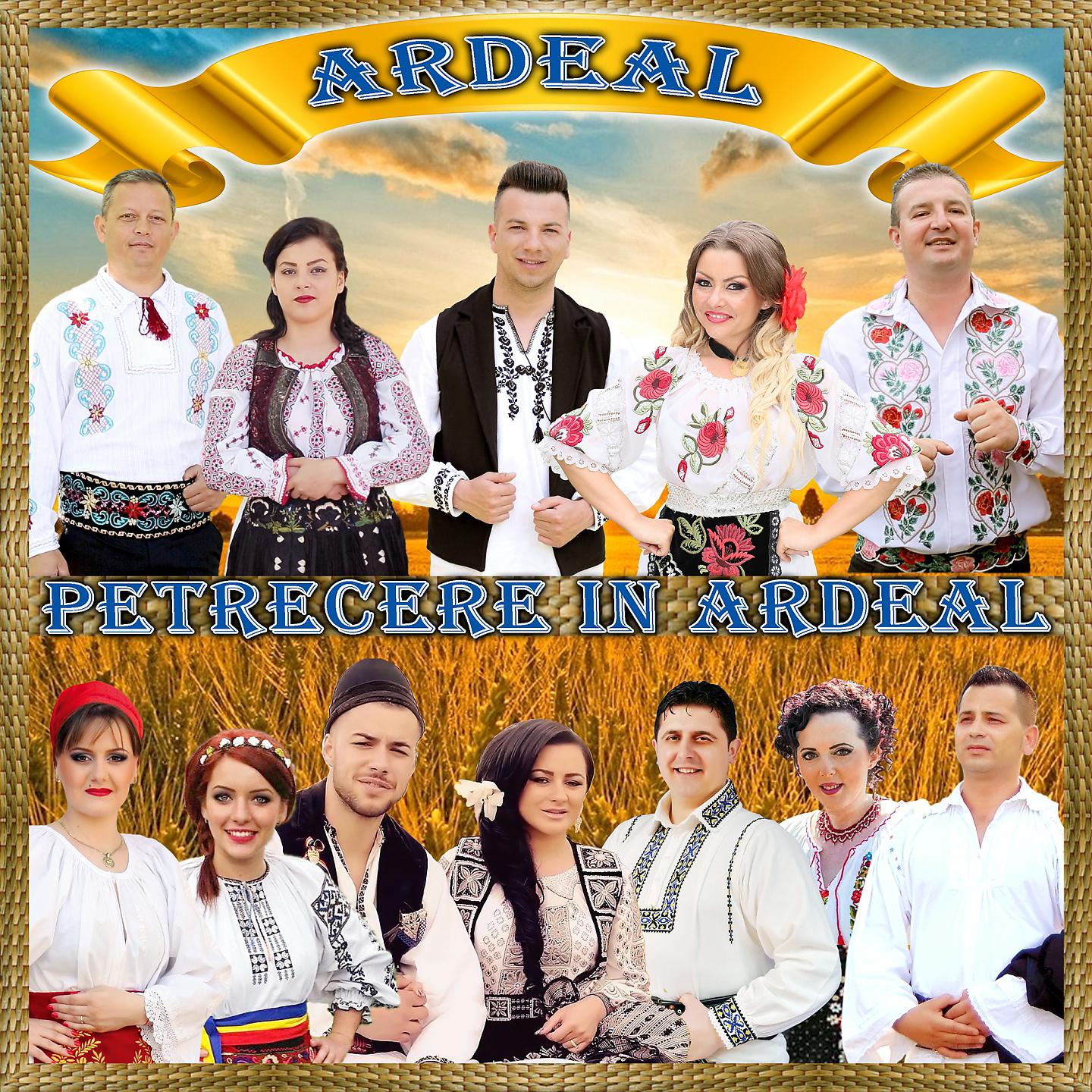 Постер альбома Petrecere In Ardeal